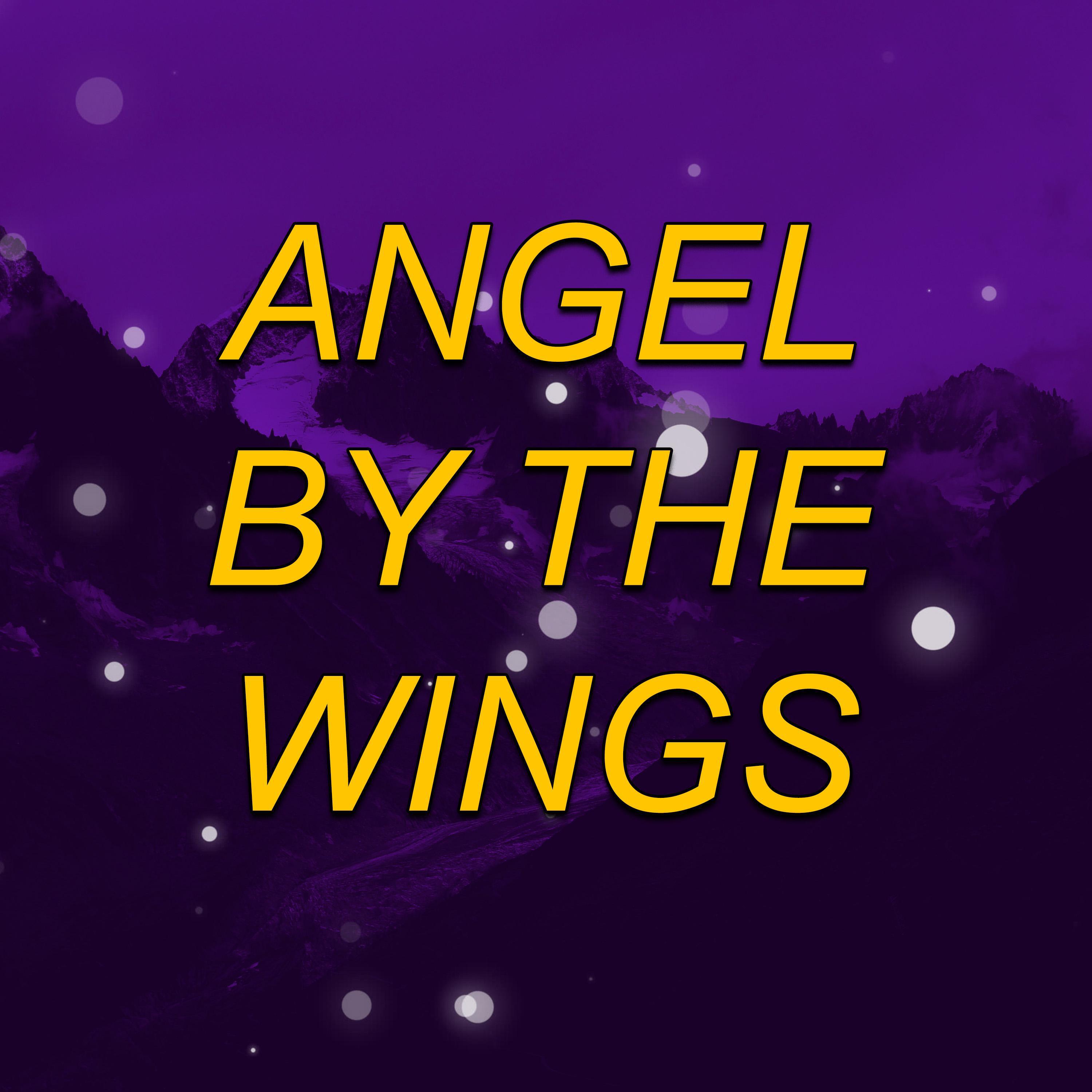 Релиз ANGEL BY THE WINGS (MTG - SLOWED + REVERB)