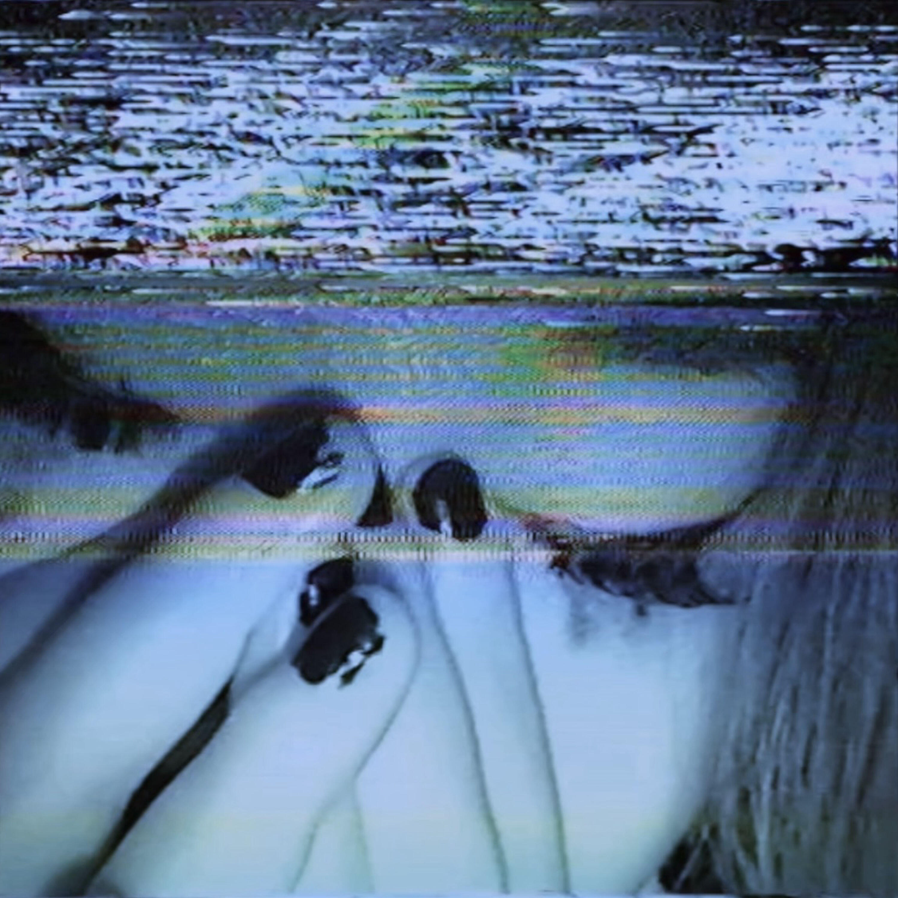 Релиз till i decay