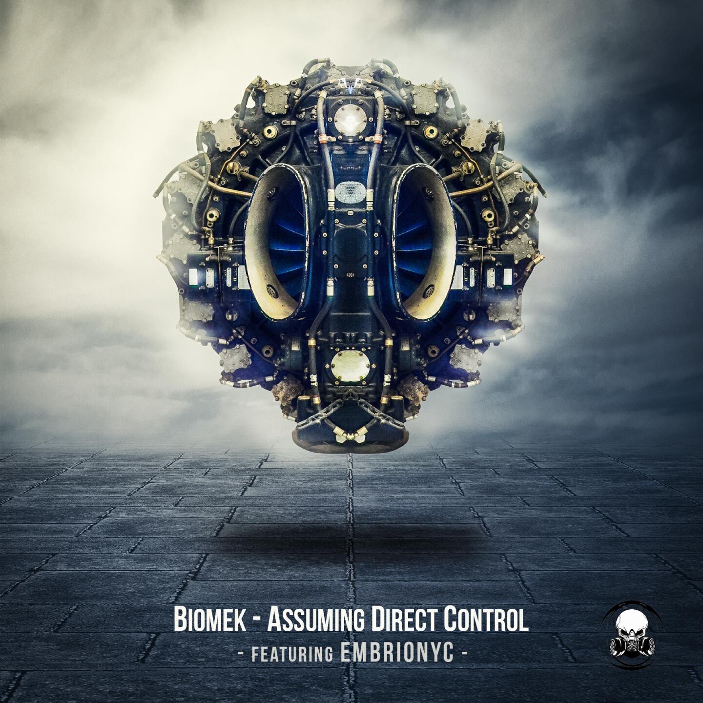 Релиз Assuming Direct Control
