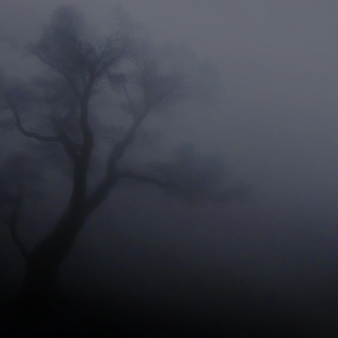 Постер альбома Lost in the Mist