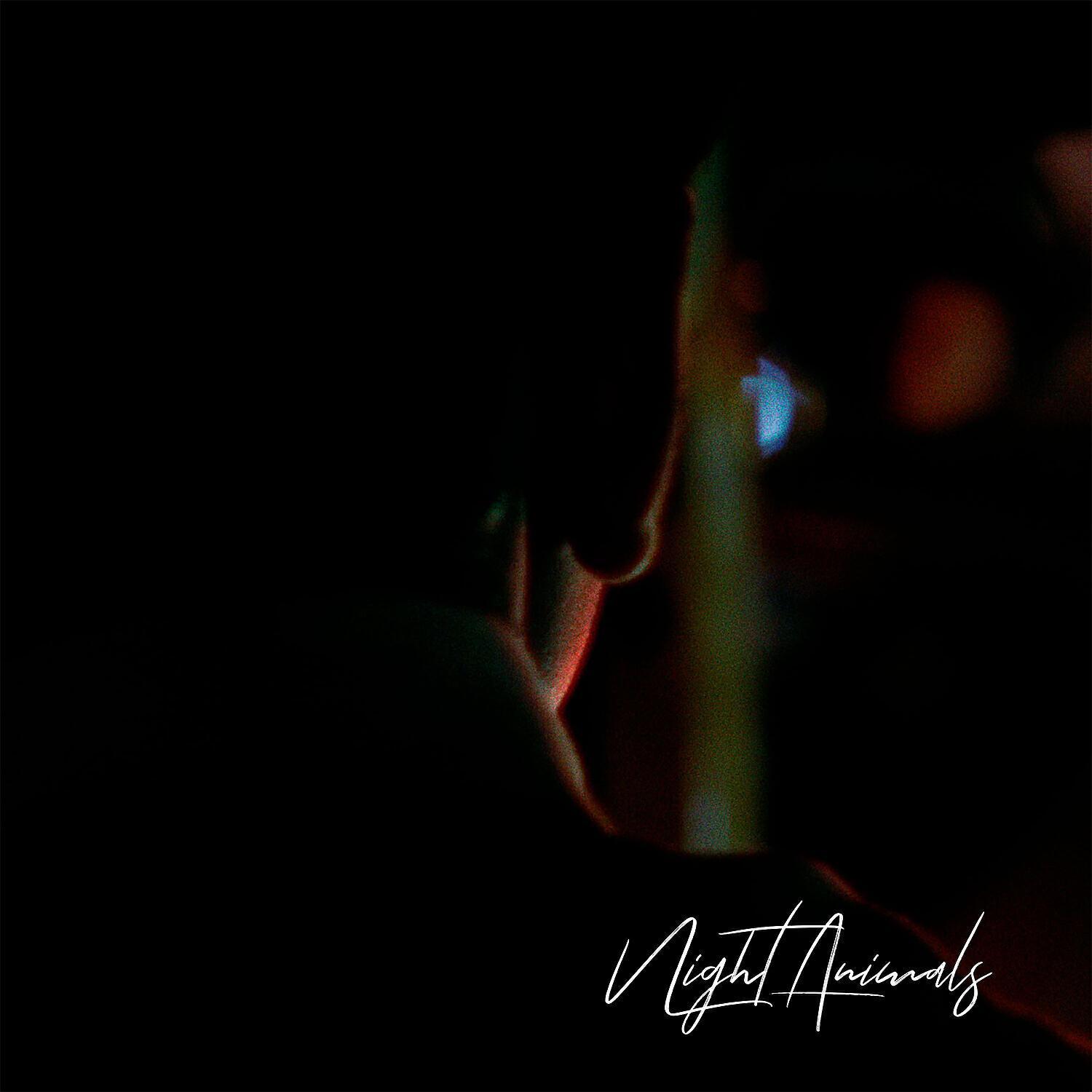 Night Animals