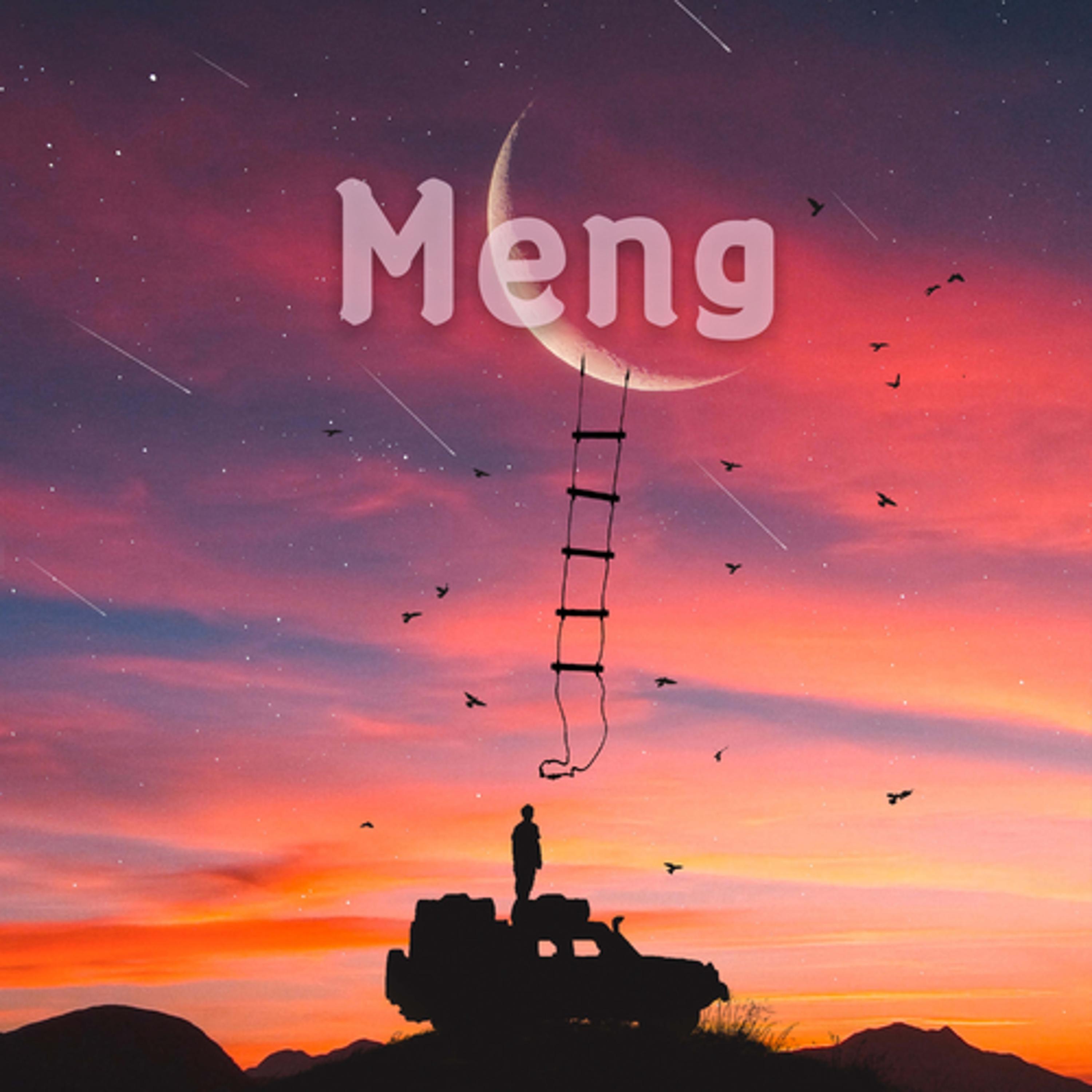 Релиз Meng