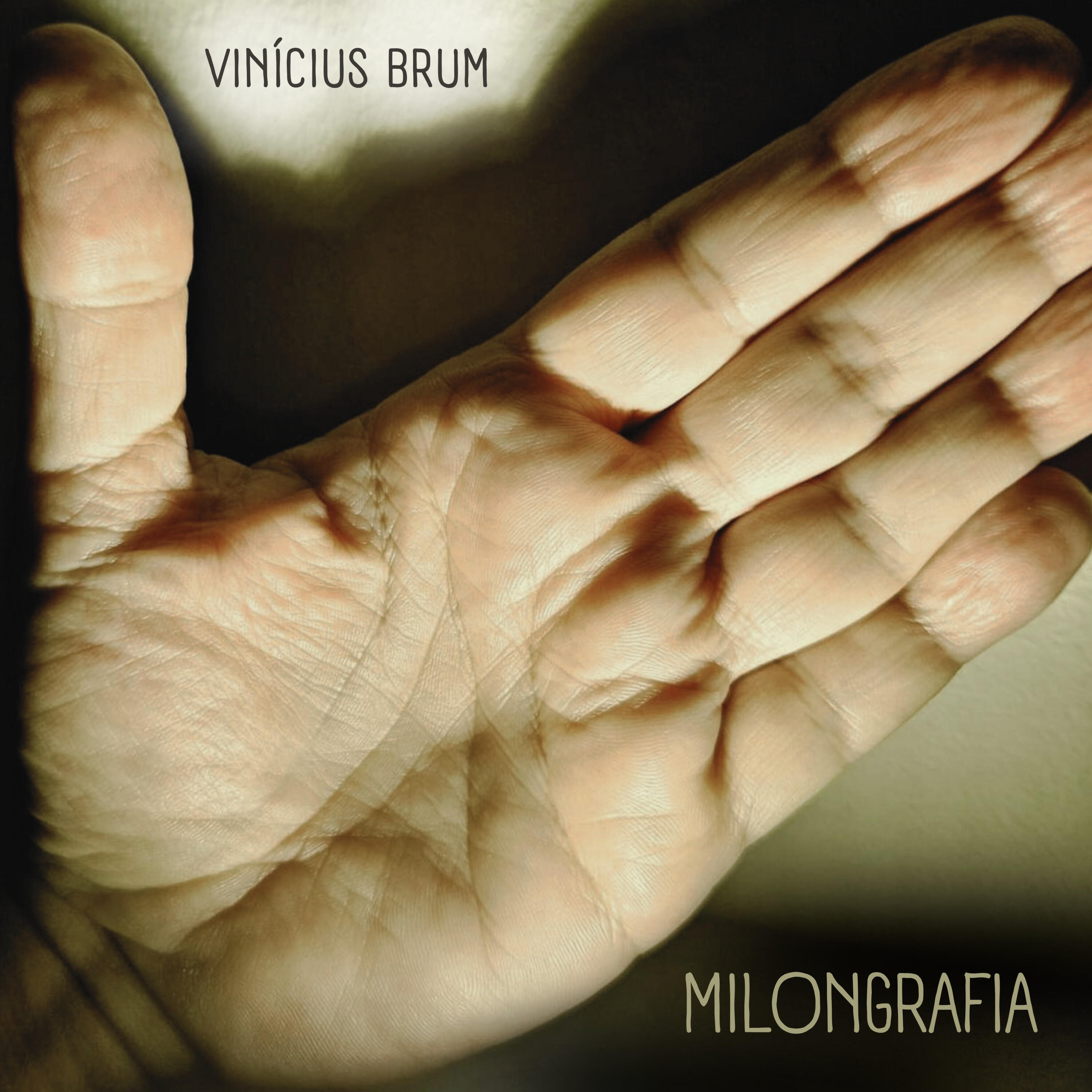 Vinicius Brum