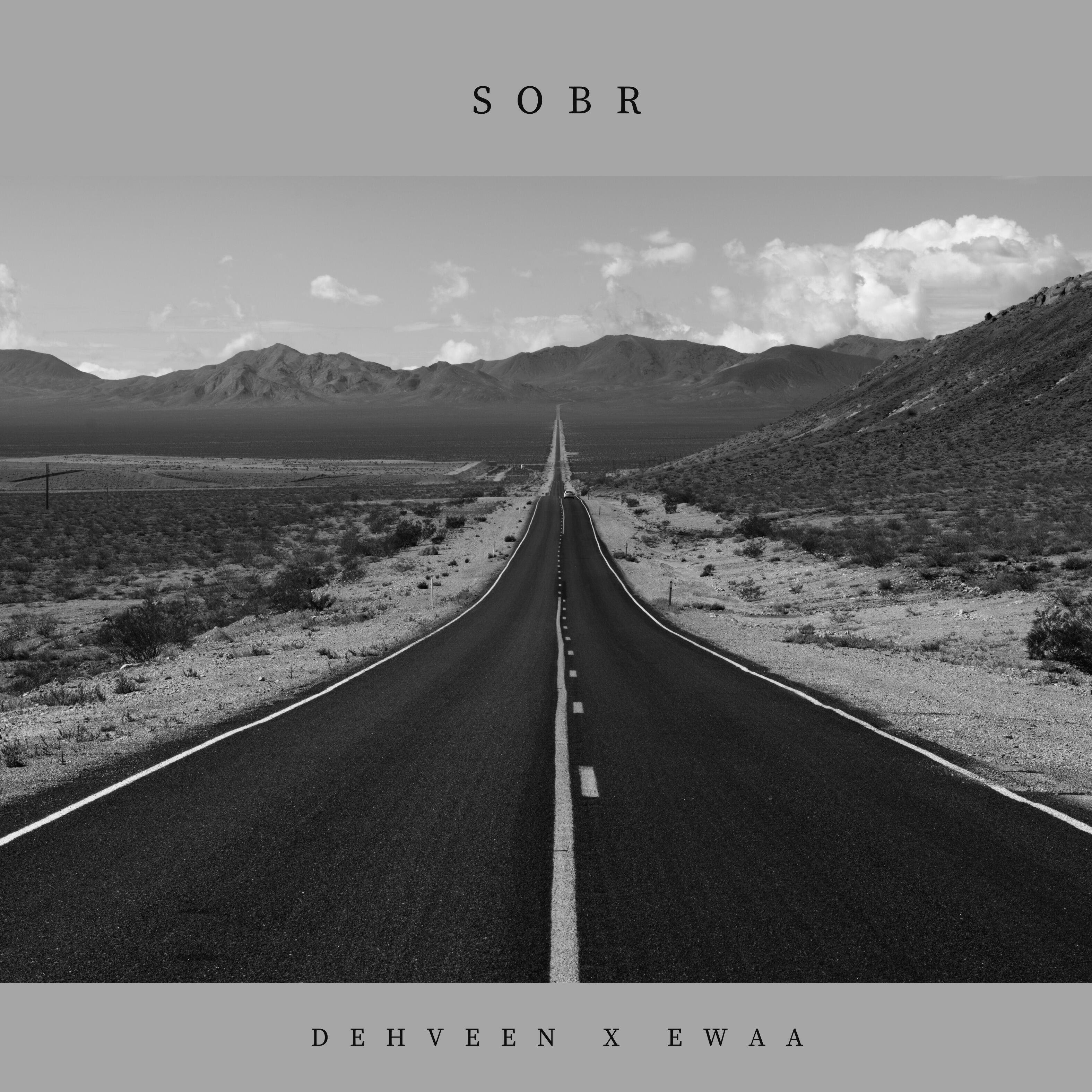 Релиз Sobr