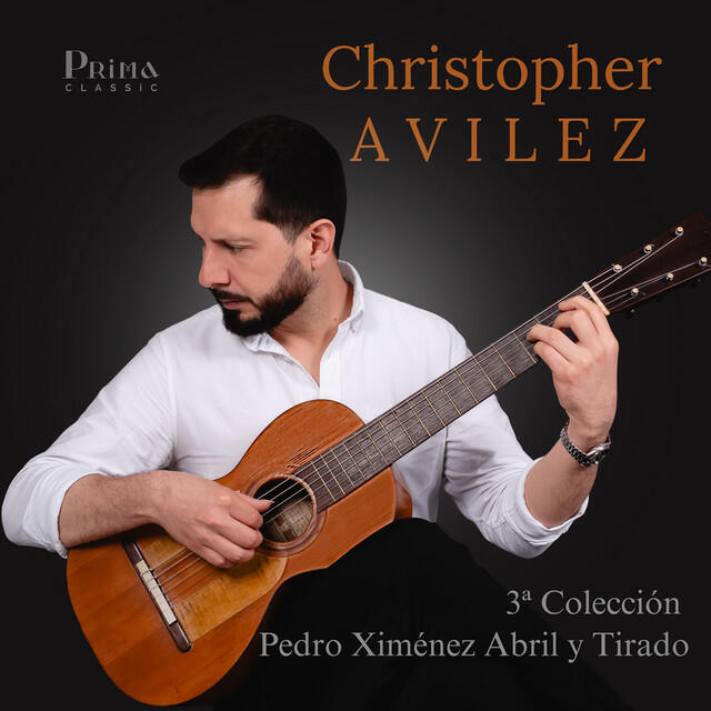 Релиз A⁠ndante No. 12 in B Minor