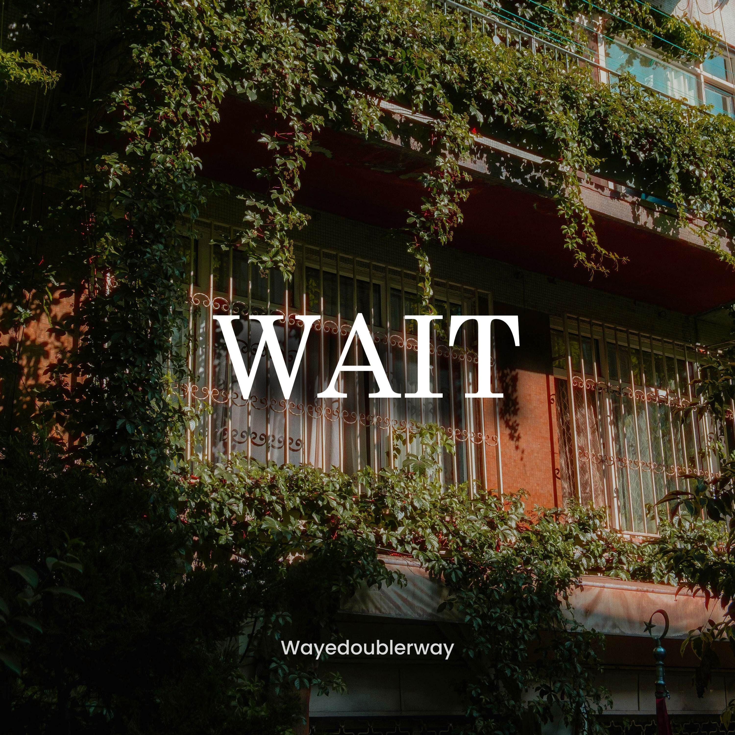 Релиз Wait