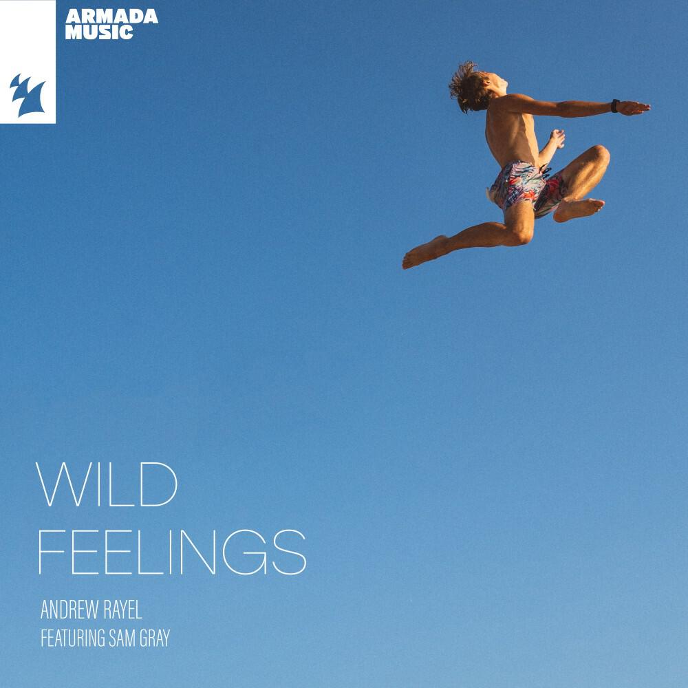 Релиз Wild Feelings