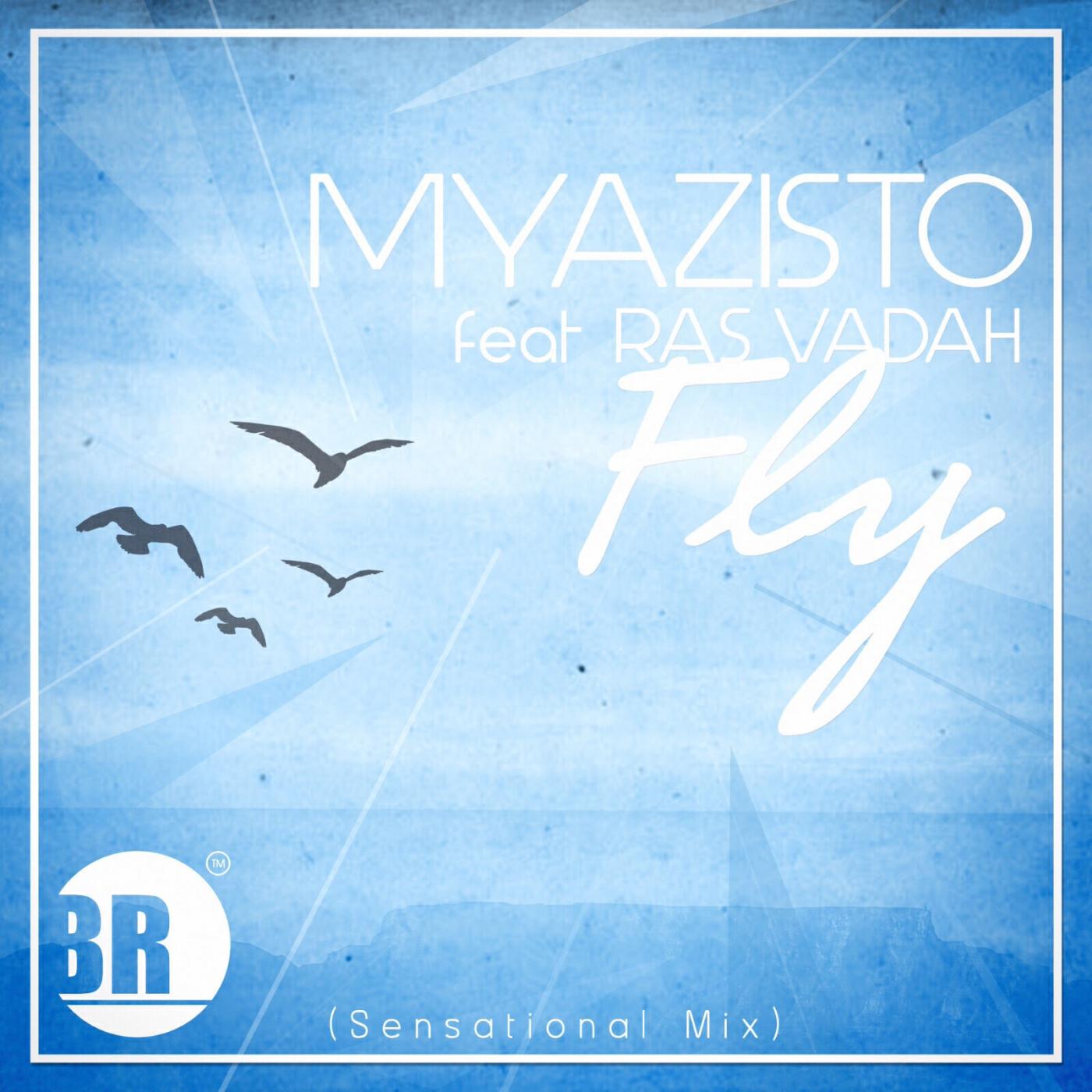 Релиз Fly