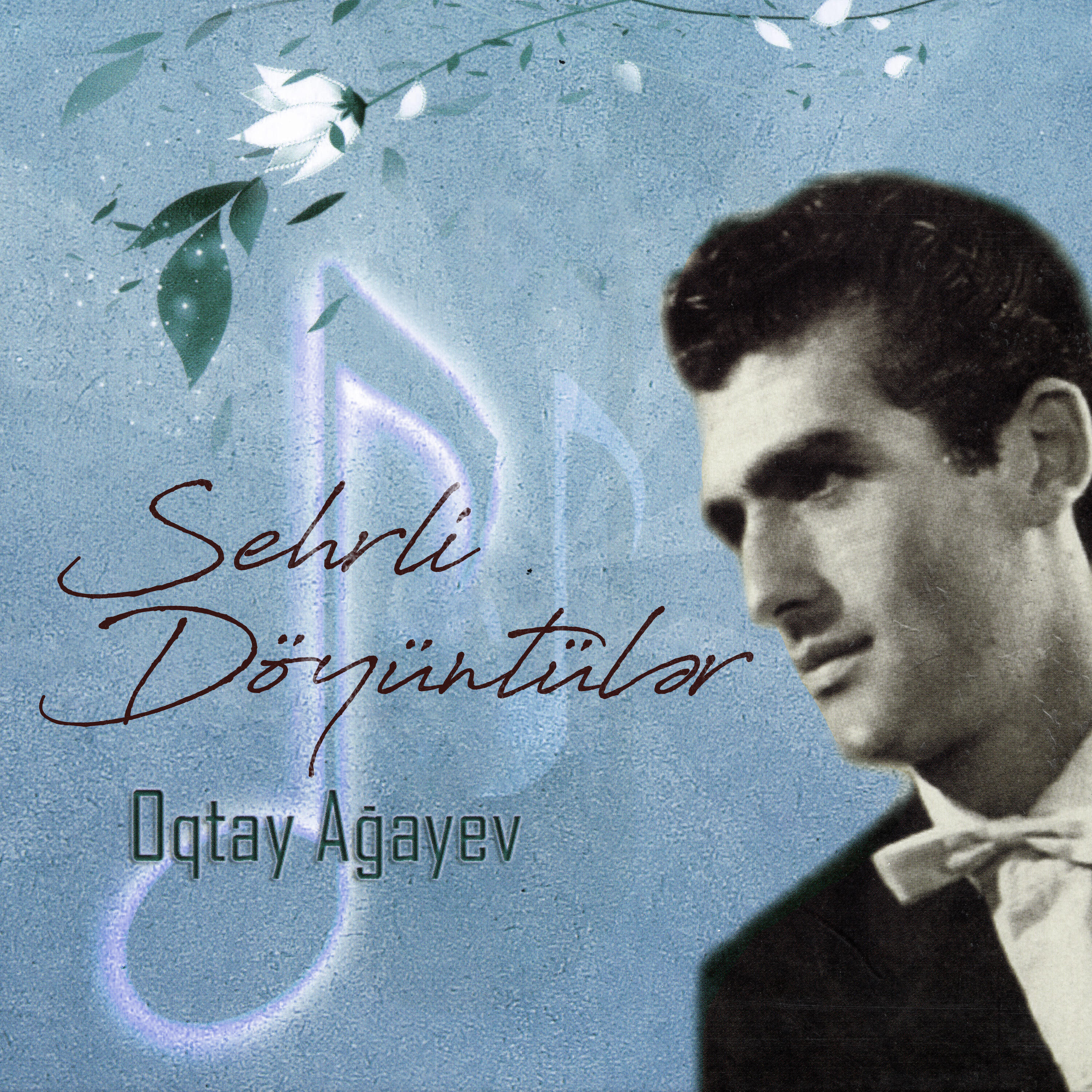Постер альбома Sehrli Döyüntülər