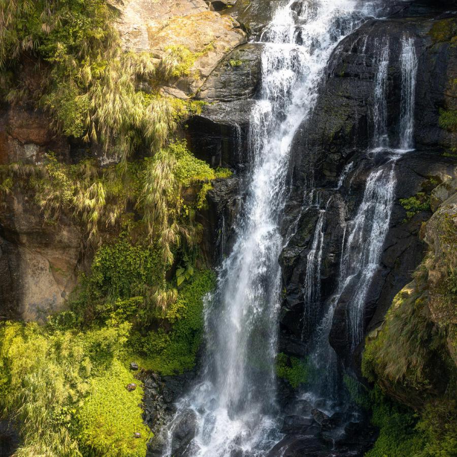 Волна по треку