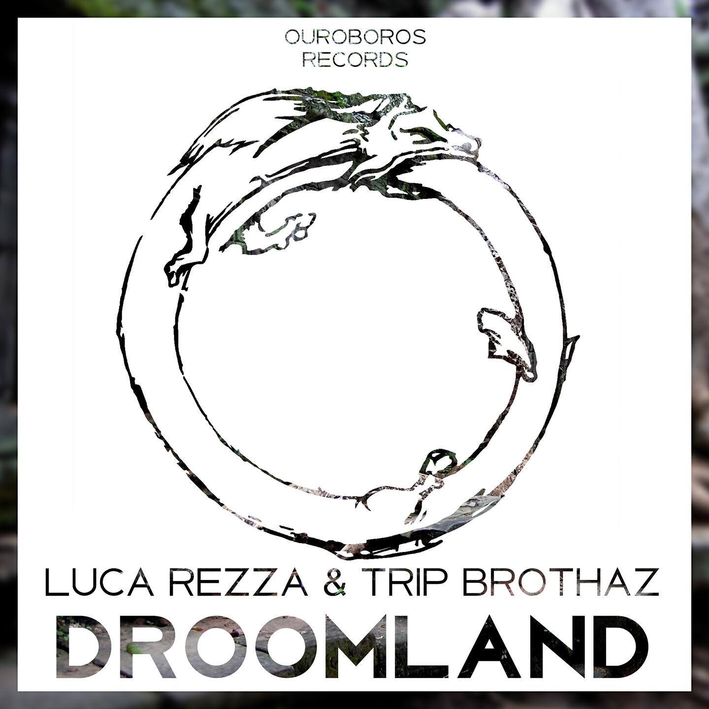 Релиз Droomland