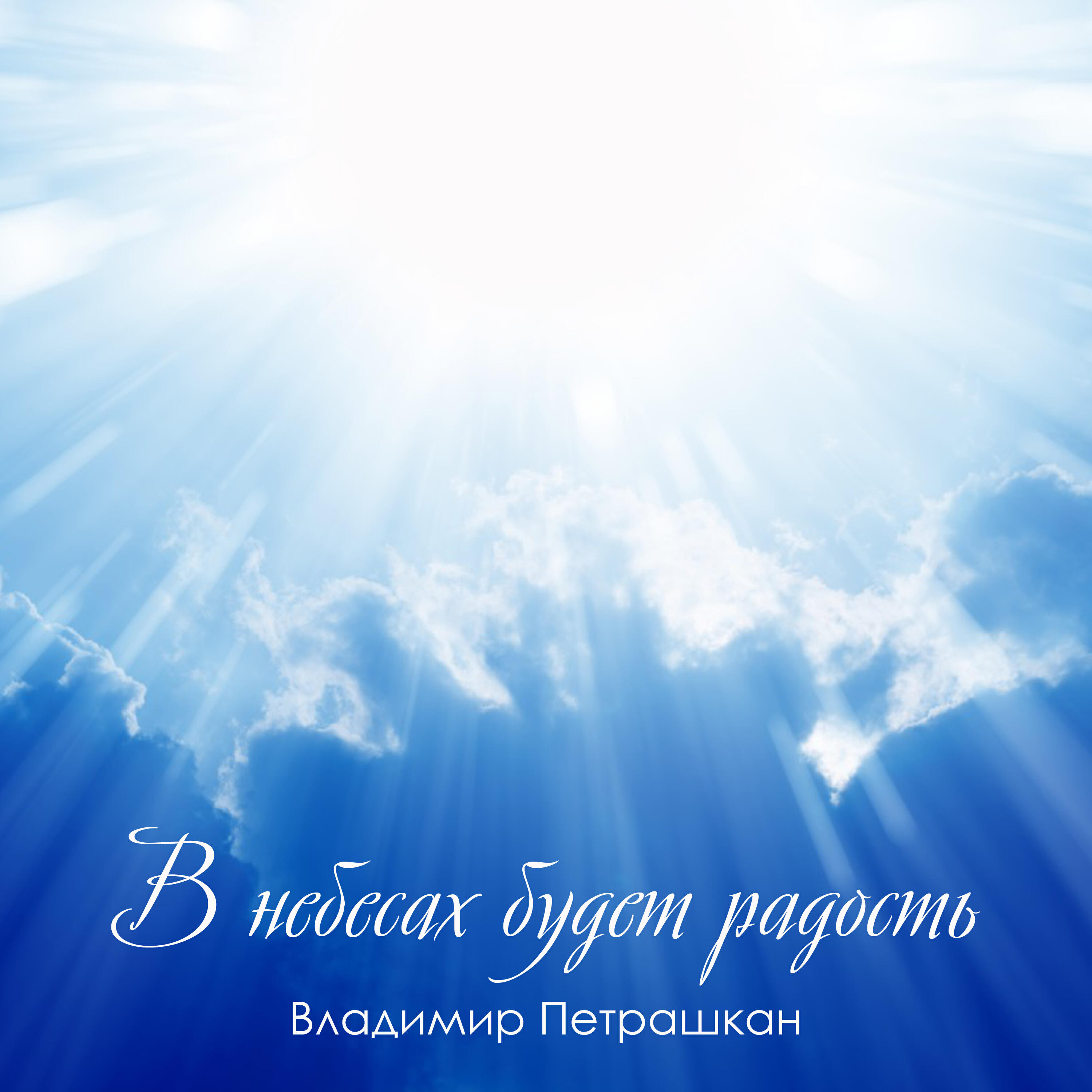 Владимир Петрашкан