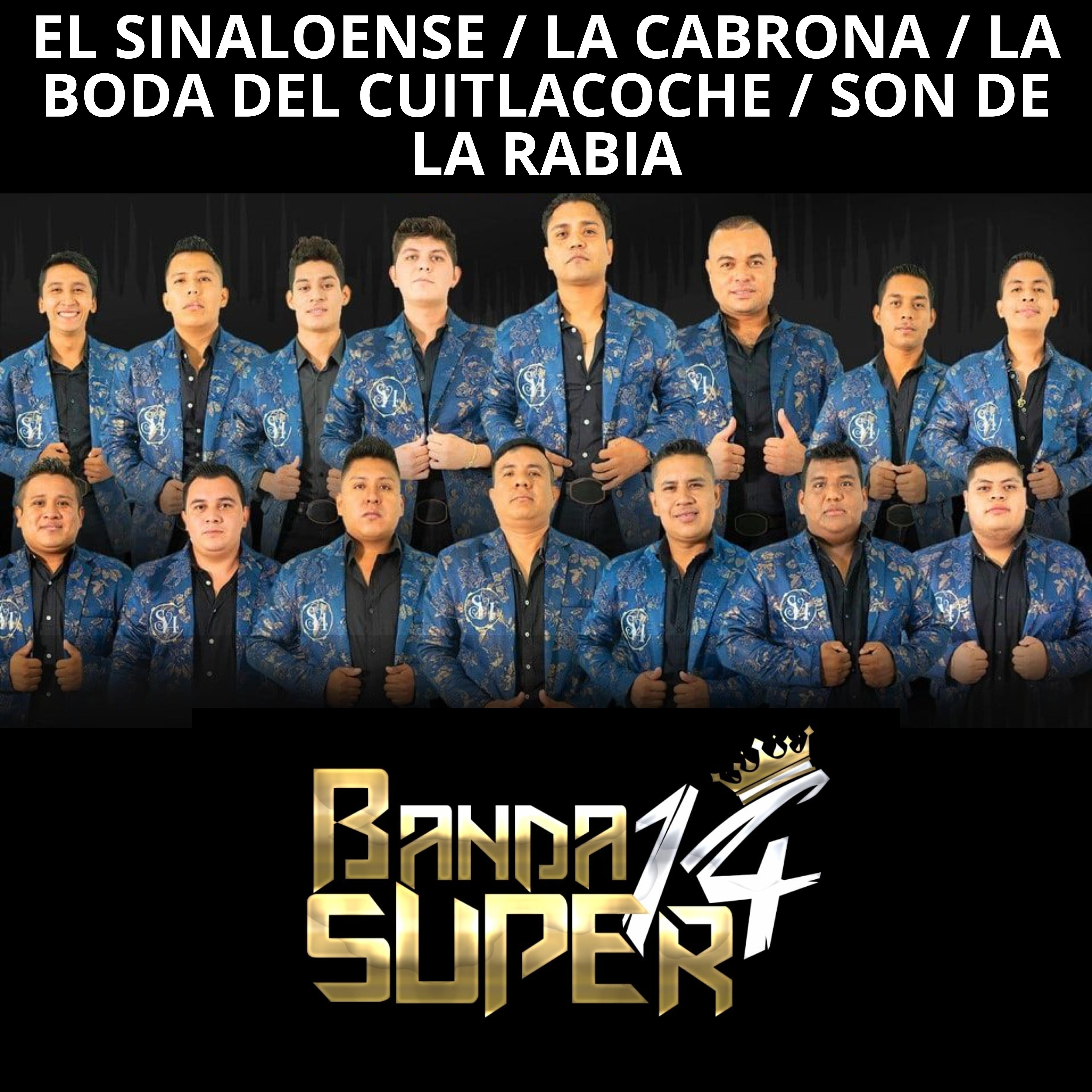 Релиз El Sinaloense / La Cabrona / La Boda del Cuitlacoche / Son de la Rabia
