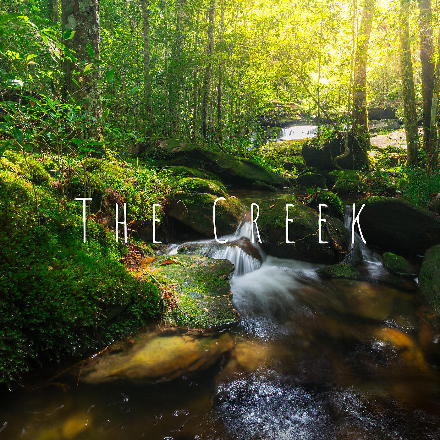 Релиз The Creek