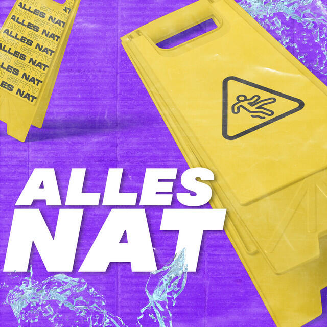 Релиз Alles Nat