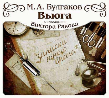 Книга Вьюга