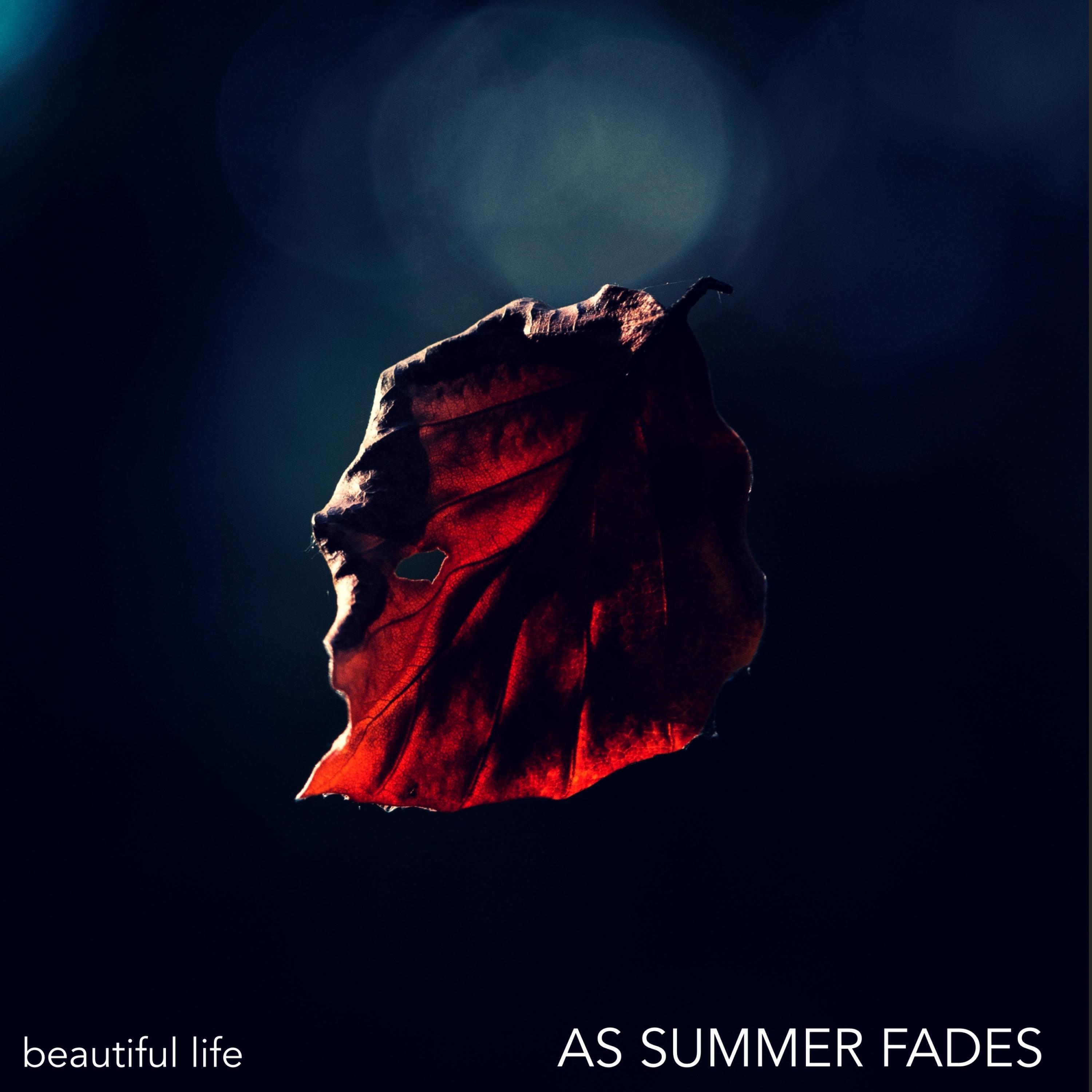 Релиз As Summer Fades