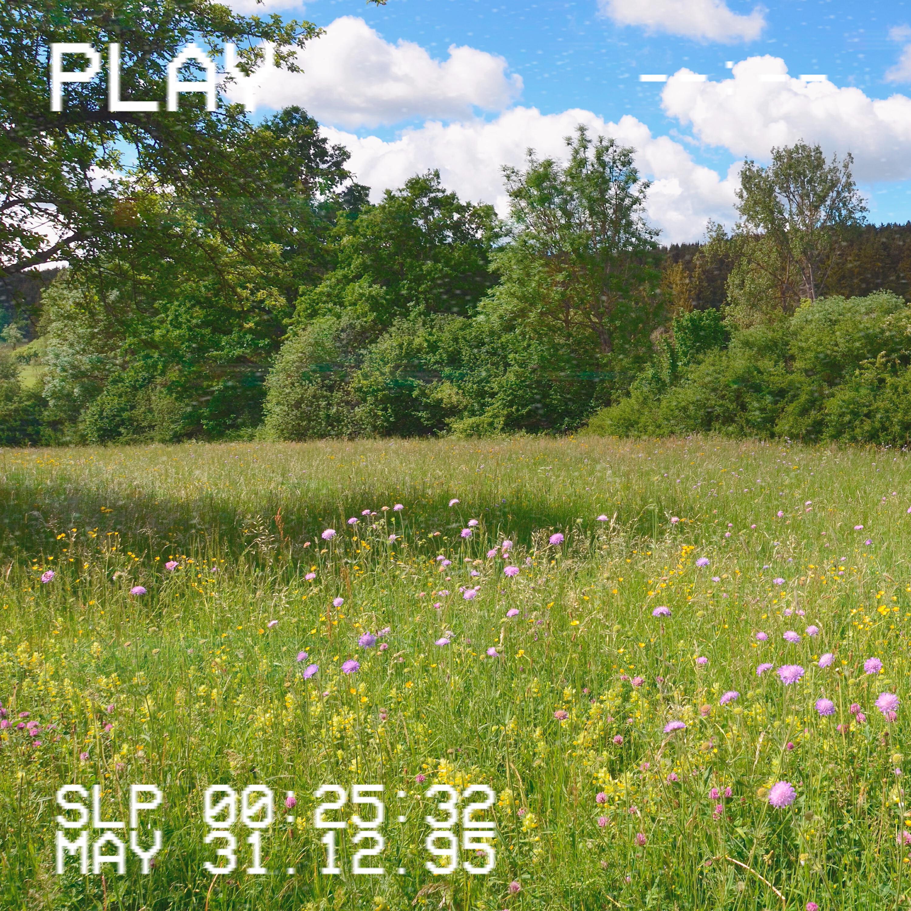 Релиз Summer memories