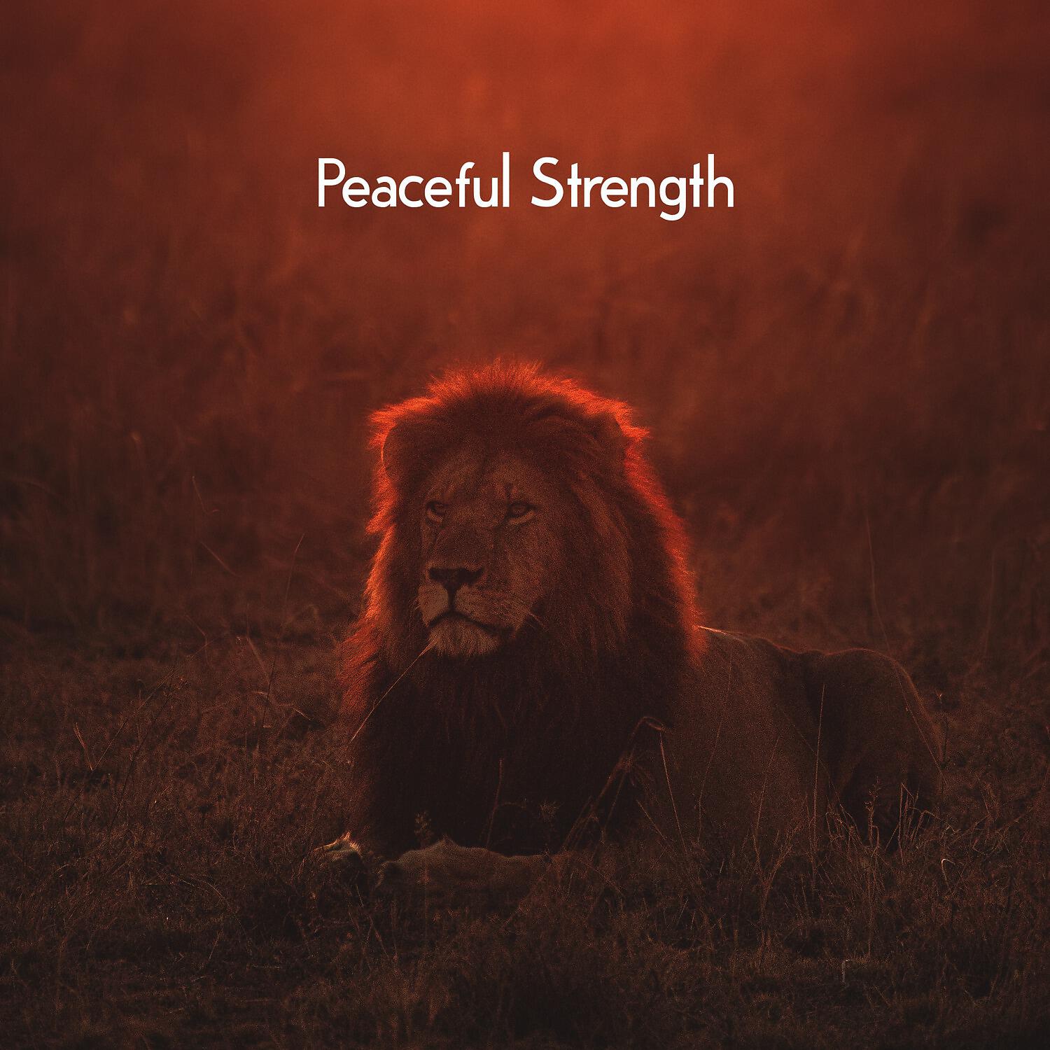 Релиз Peaceful Strength