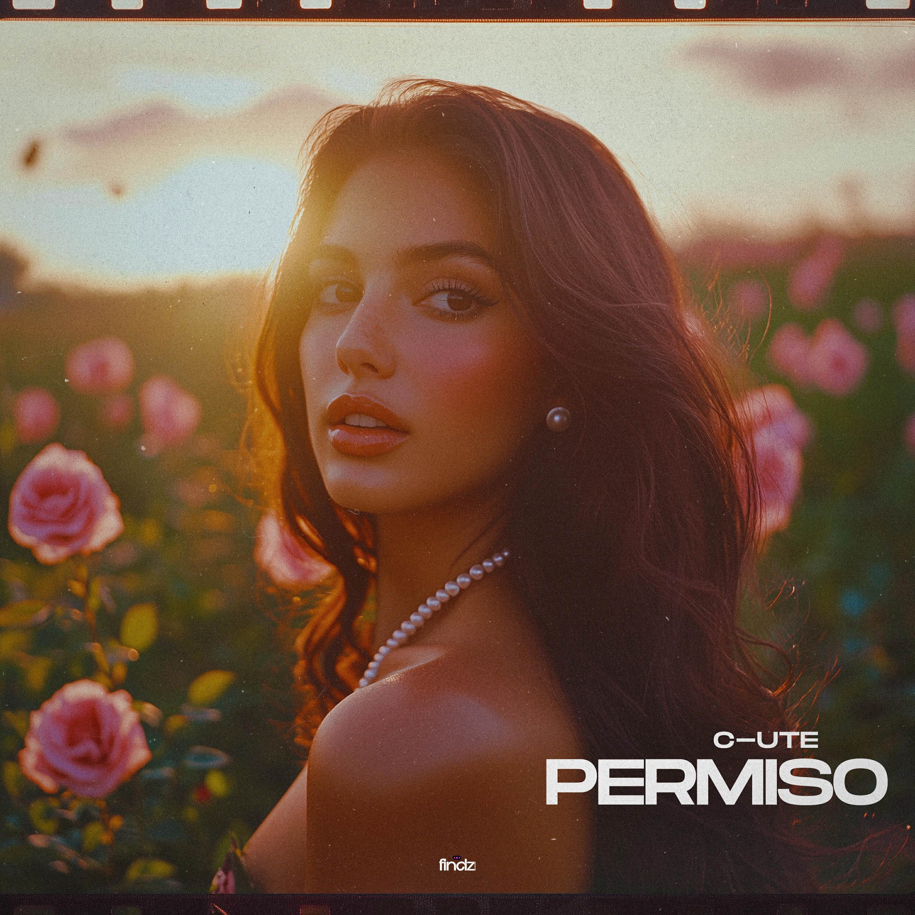 Релиз Permiso