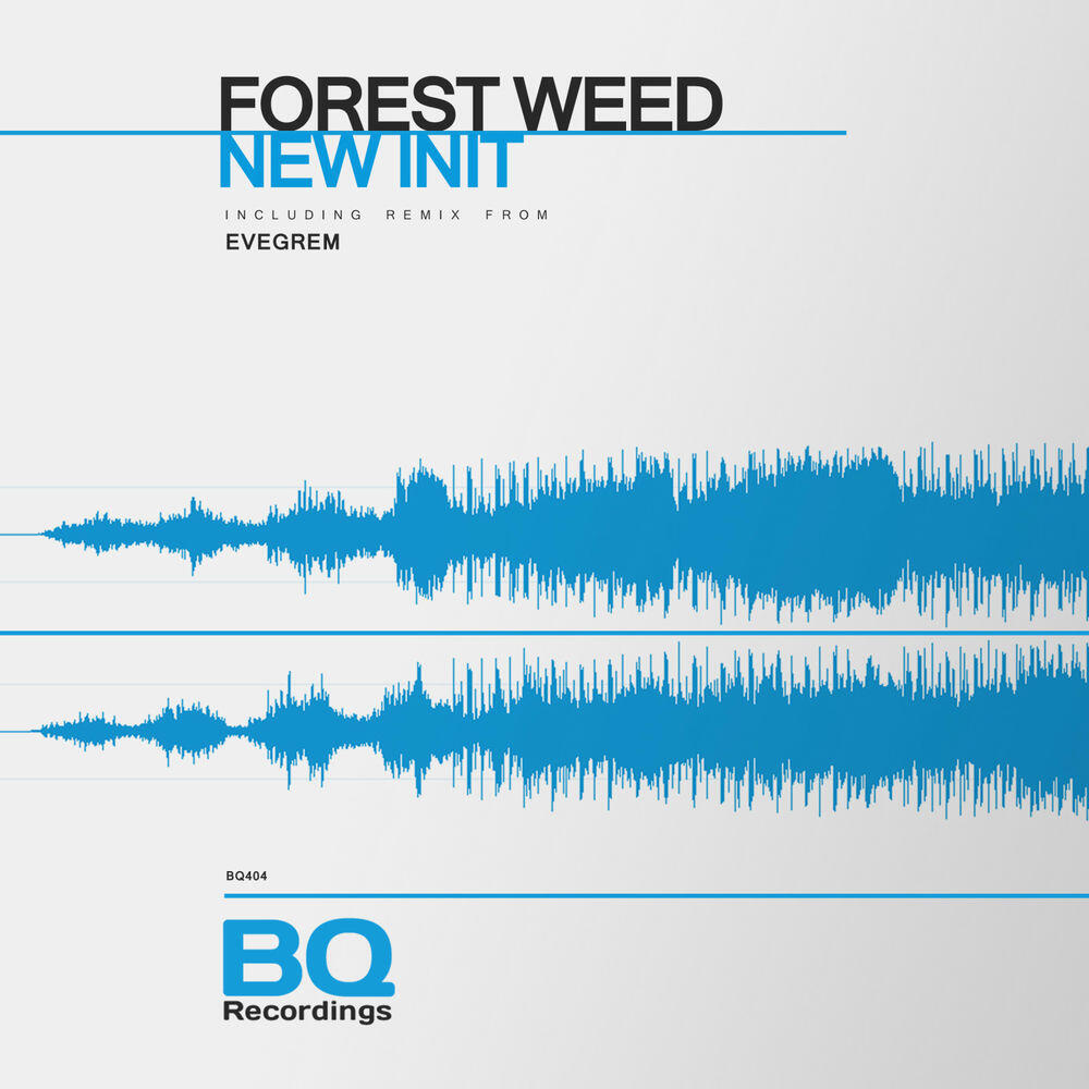 Релиз New Init