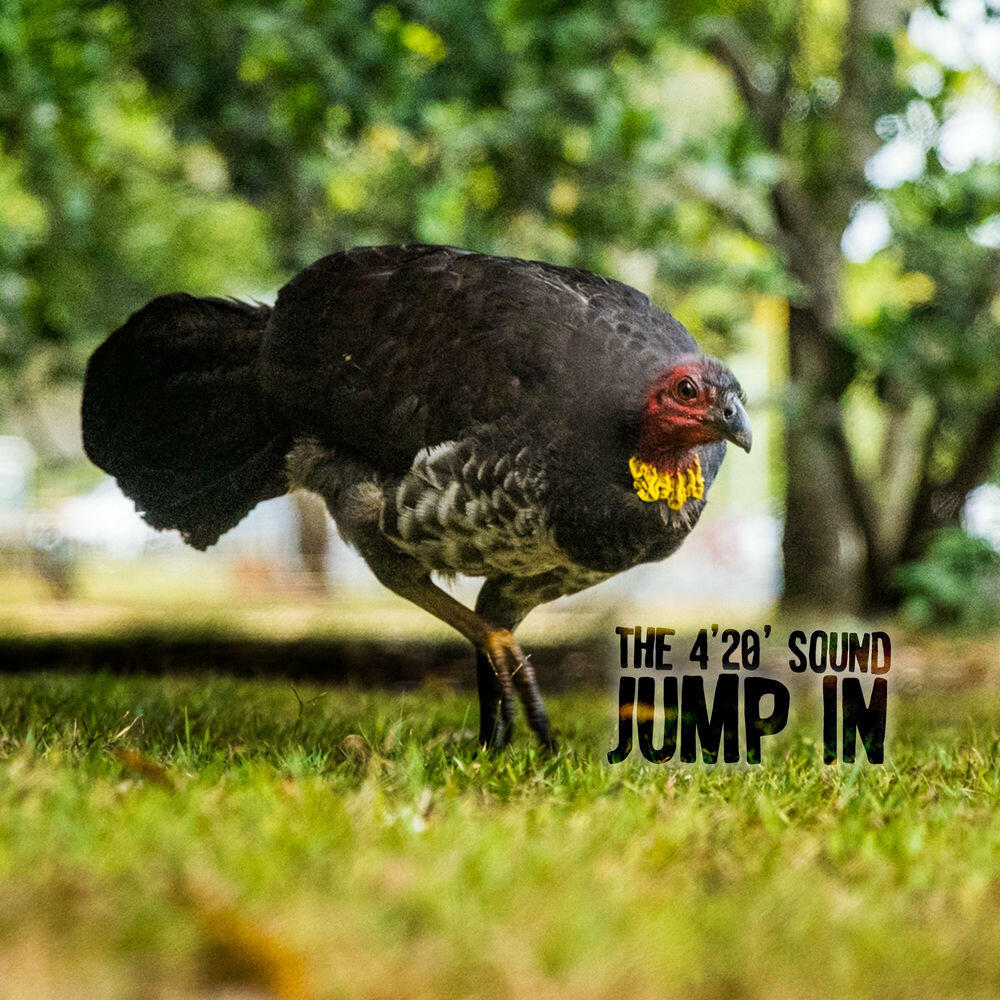 Релиз Jump In