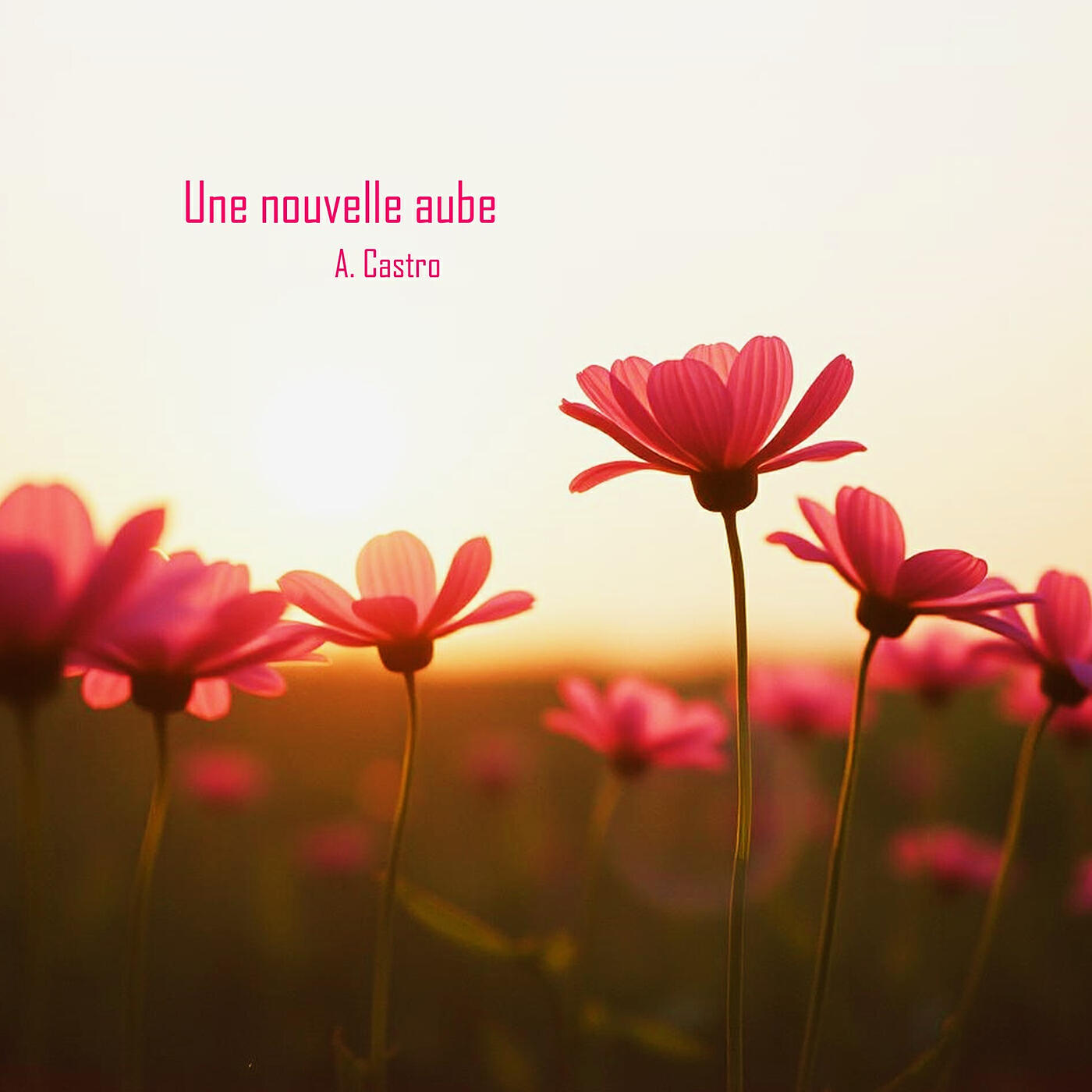 Релиз Une Nouvelle Aube
