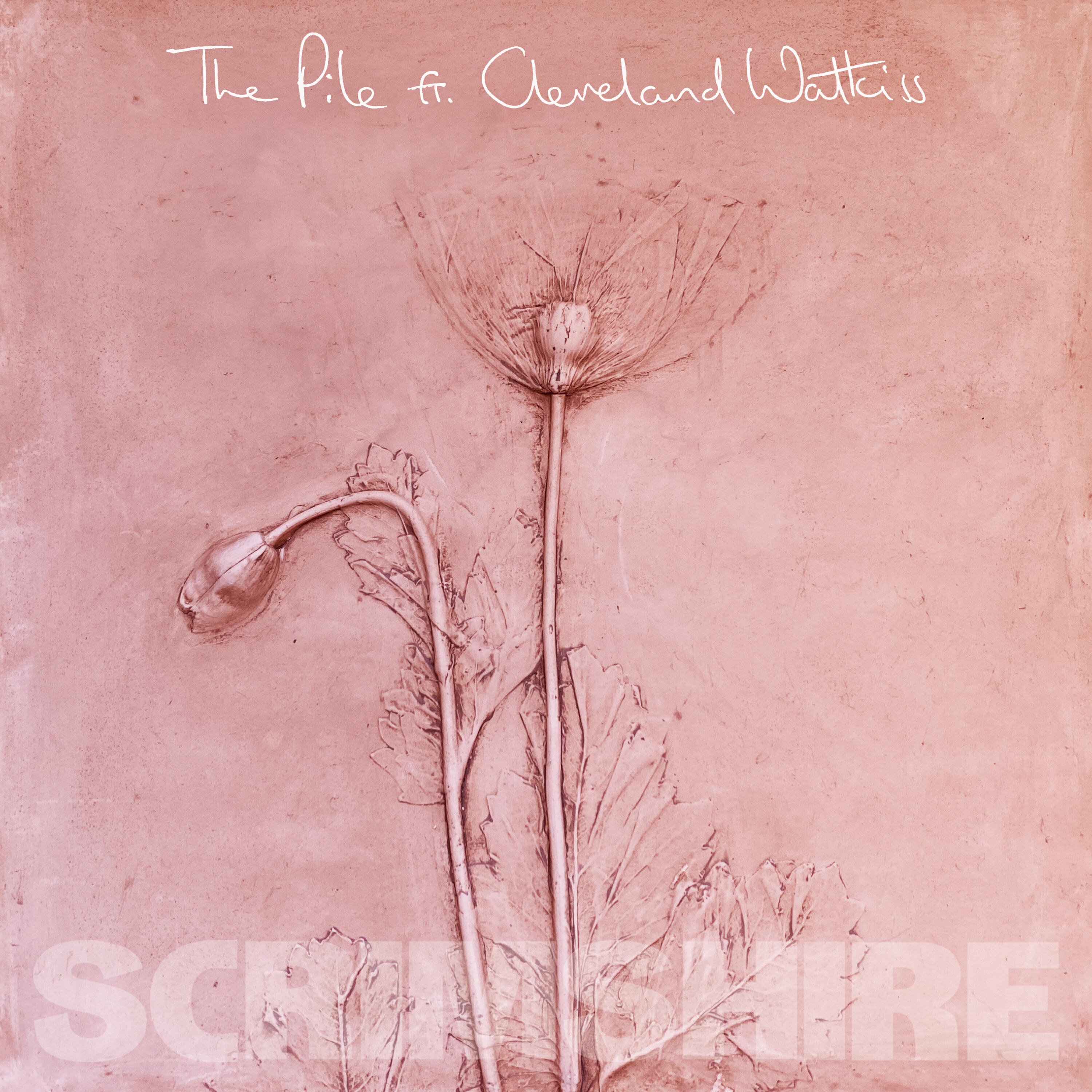 Релиз The Pile