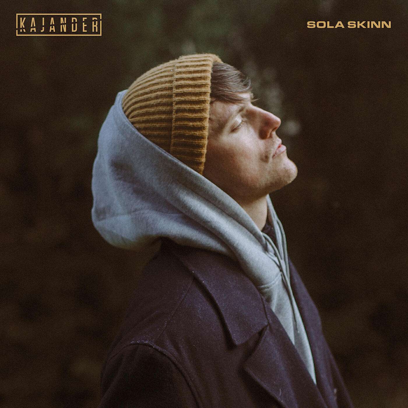 Релиз Sola skinn