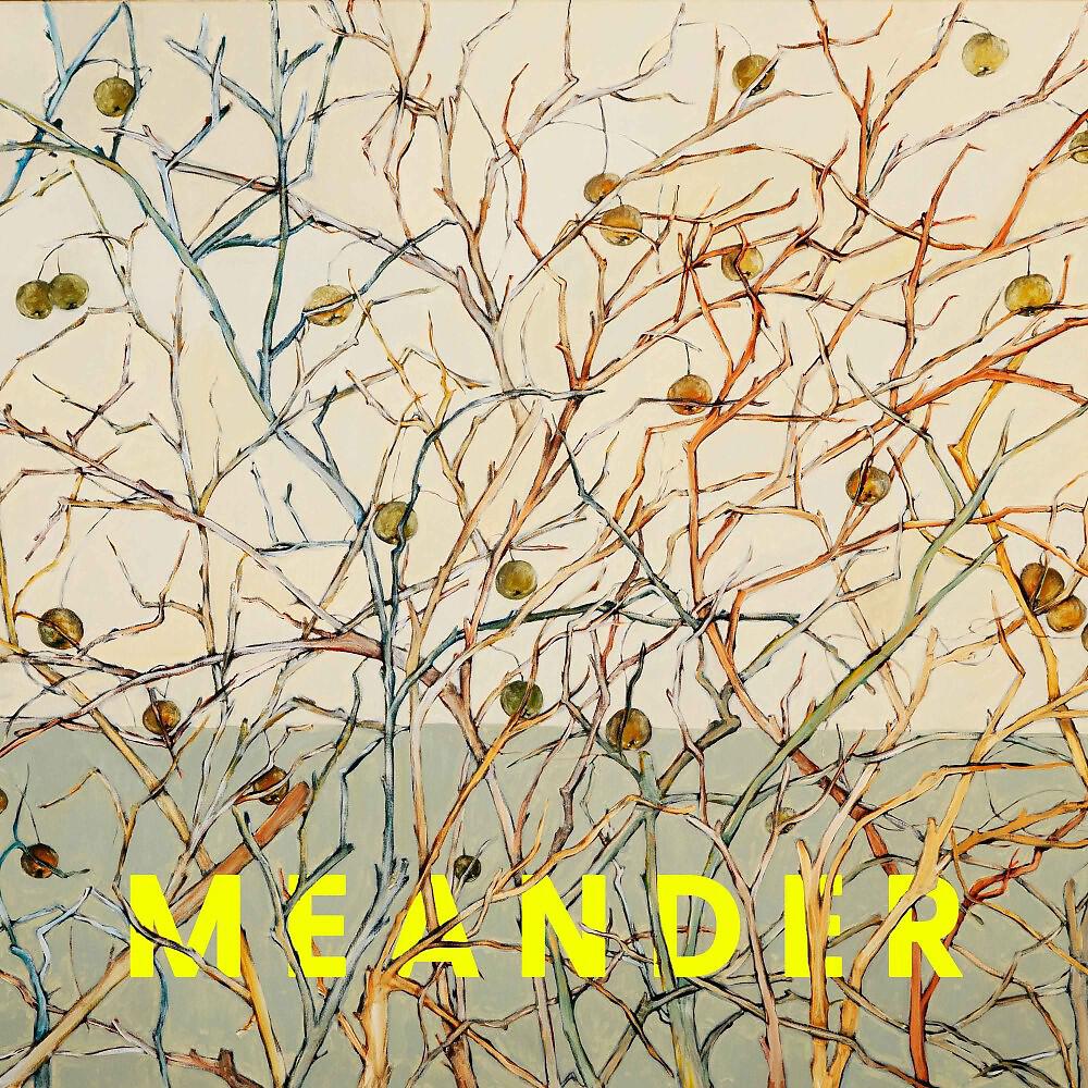 Релиз Meander