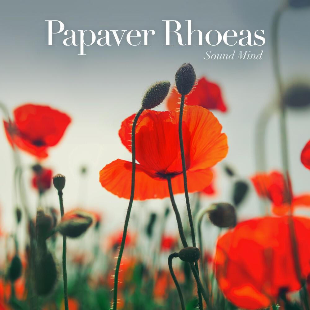 Релиз Papaver Rhoeas (Ambient Mix)