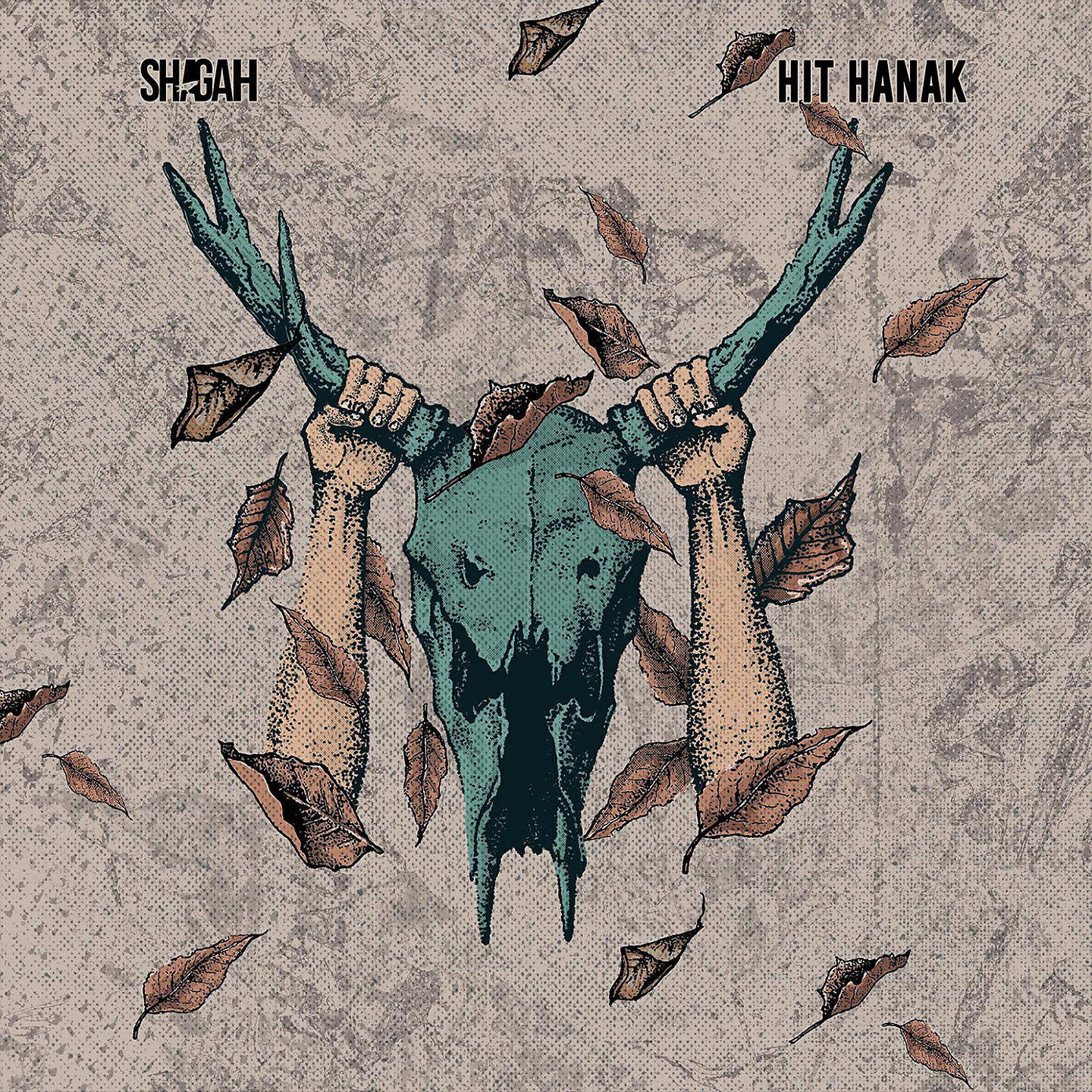 Постер альбома Hit Hanak