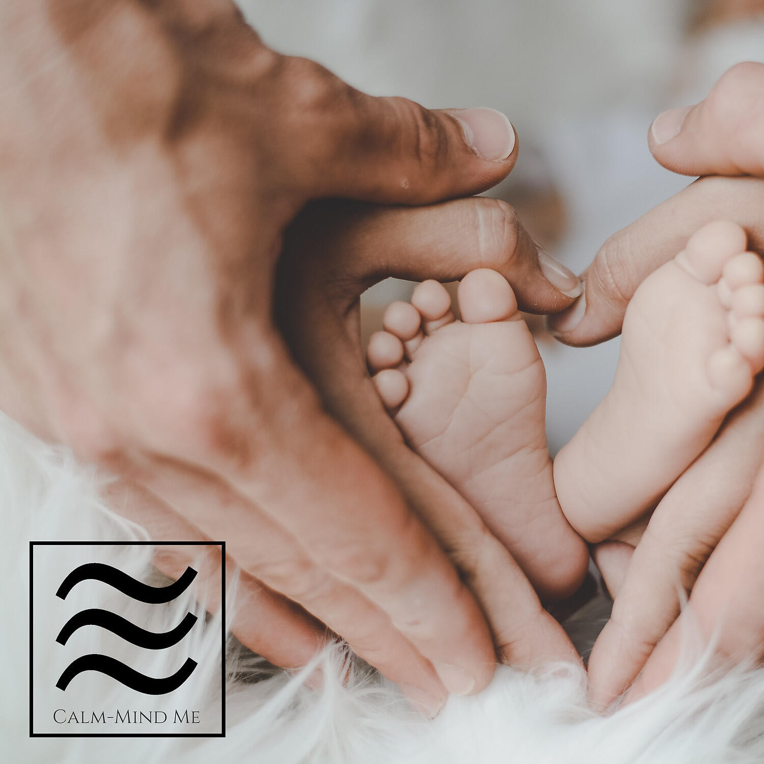 Релиз Sough to Calm Your Baby