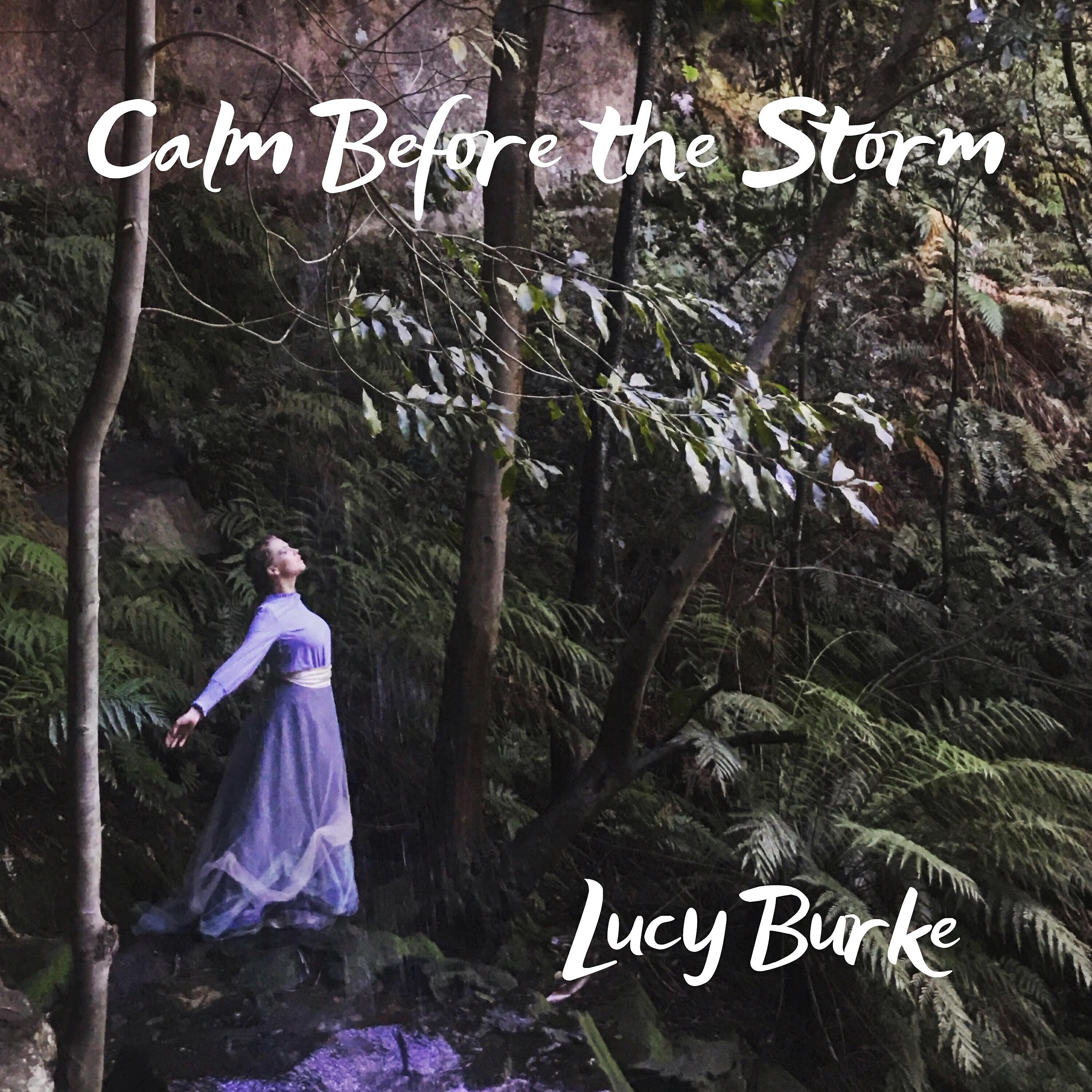 Релиз Calm Before the Storm