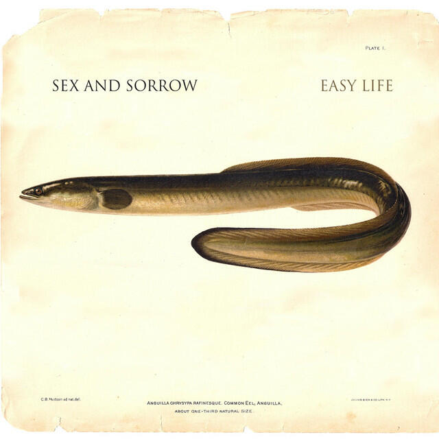 Релиз Easy Life