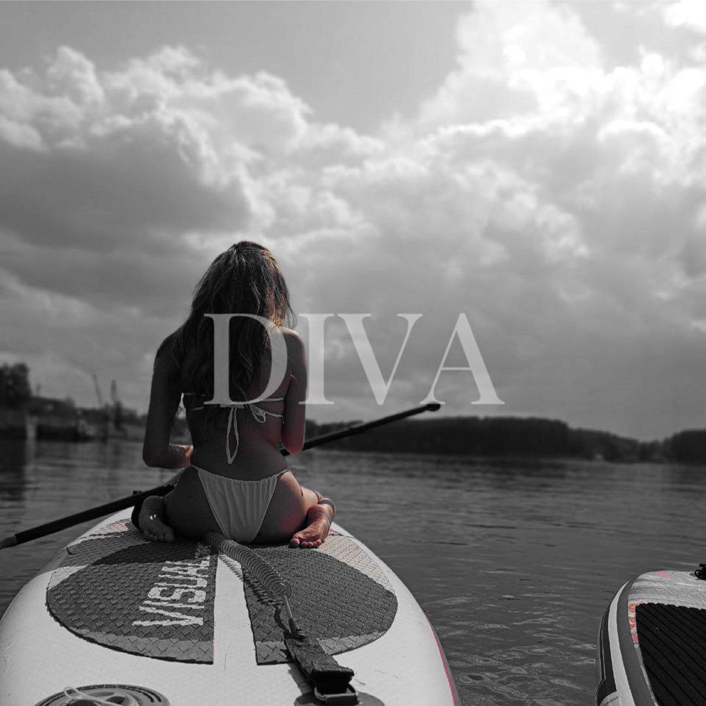 Релиз DIVA