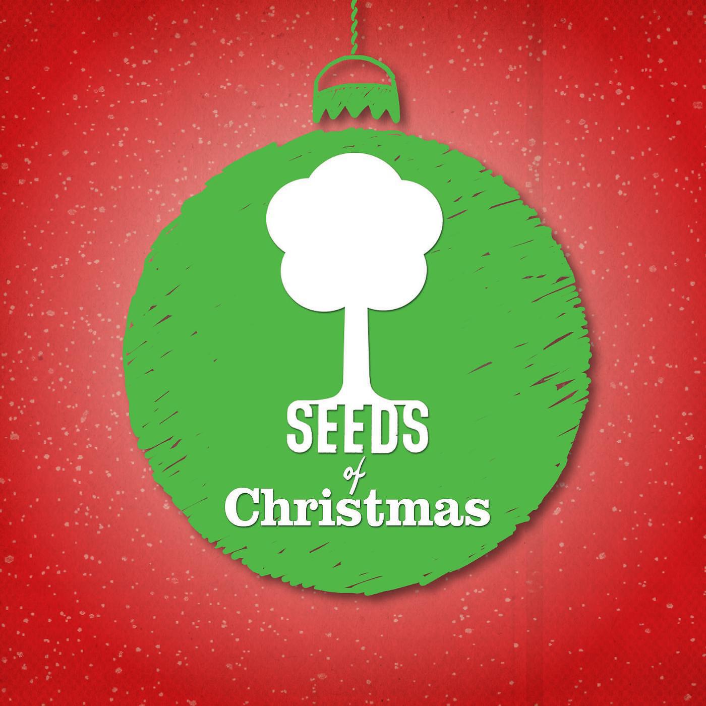 Релиз Seeds of Christmas