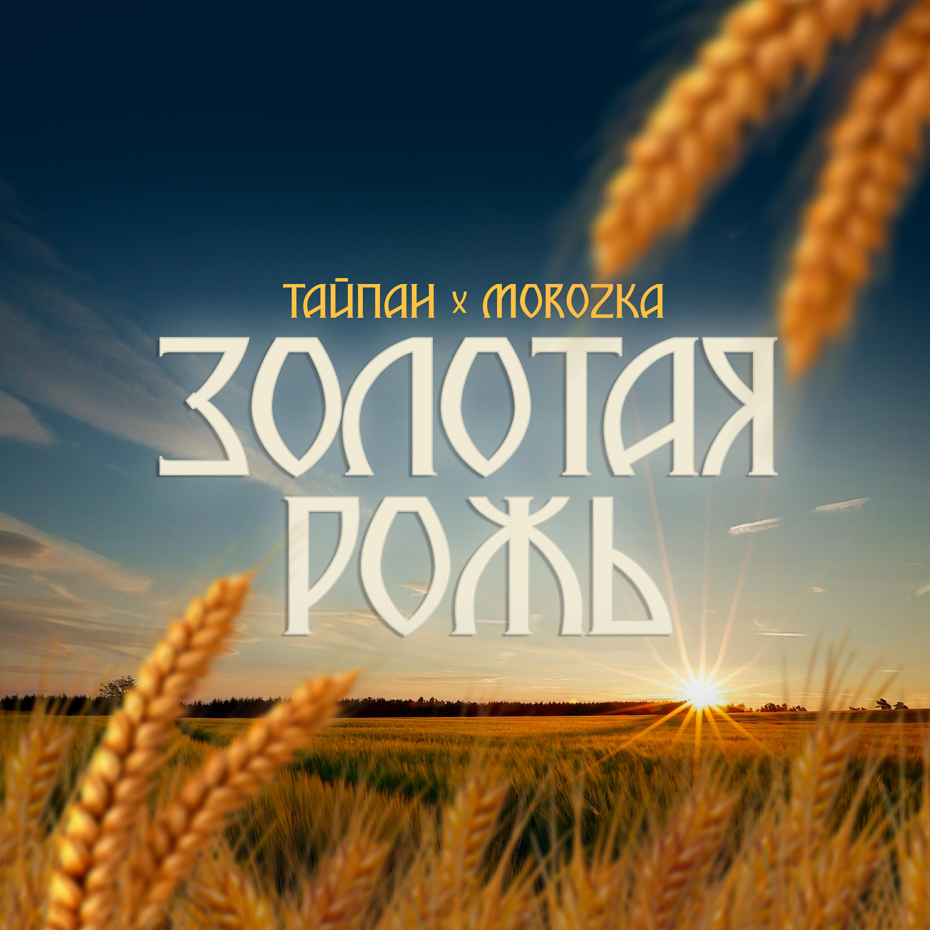 Скачать песню Тайпан, MorozKA - Золотая рожь бесплатно в MP3 для Android и iOS