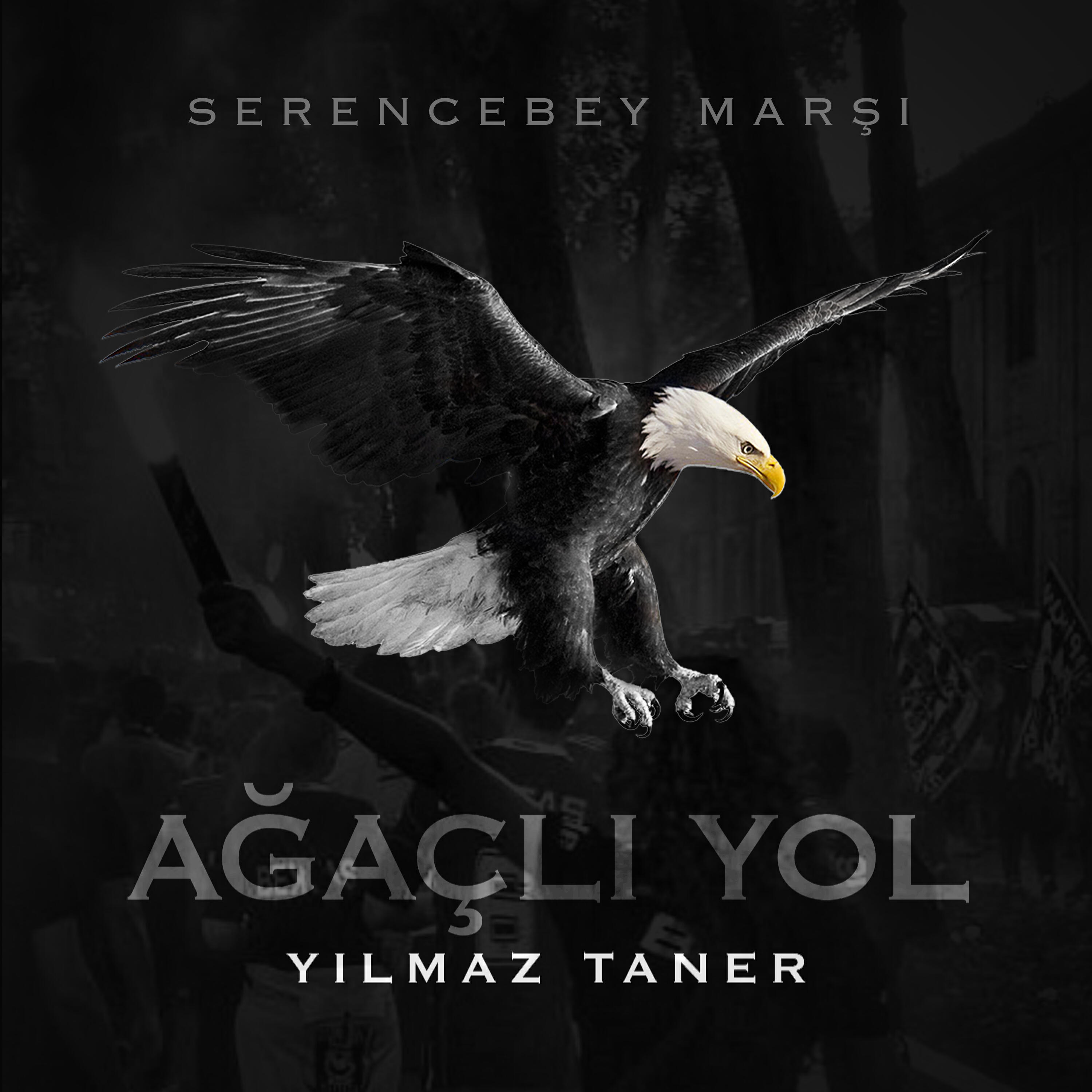 Релиз Serencebey Marşı