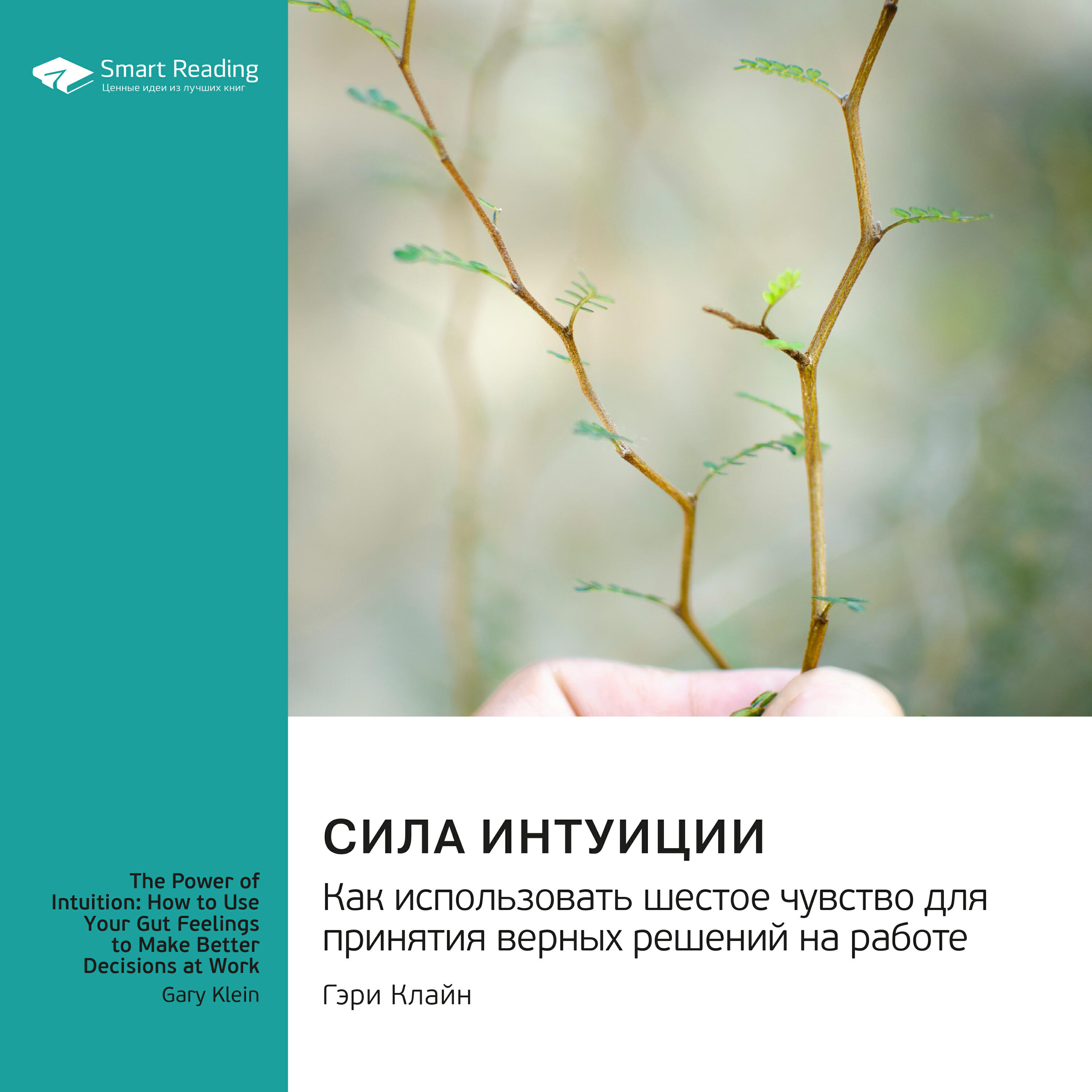 Книга Сила интуиции. Как использовать шестое чувство для принятия верных решений на работе. Гэри Клайн. Саммари