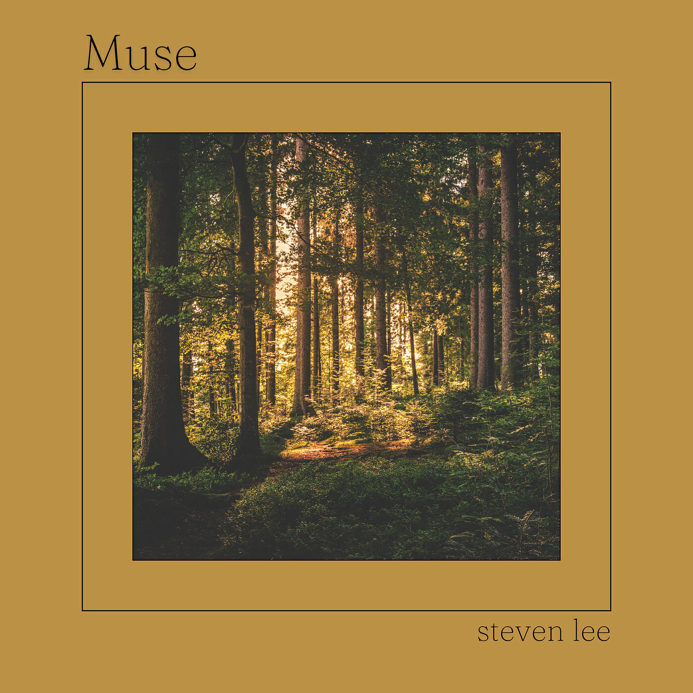 Релиз Muse
