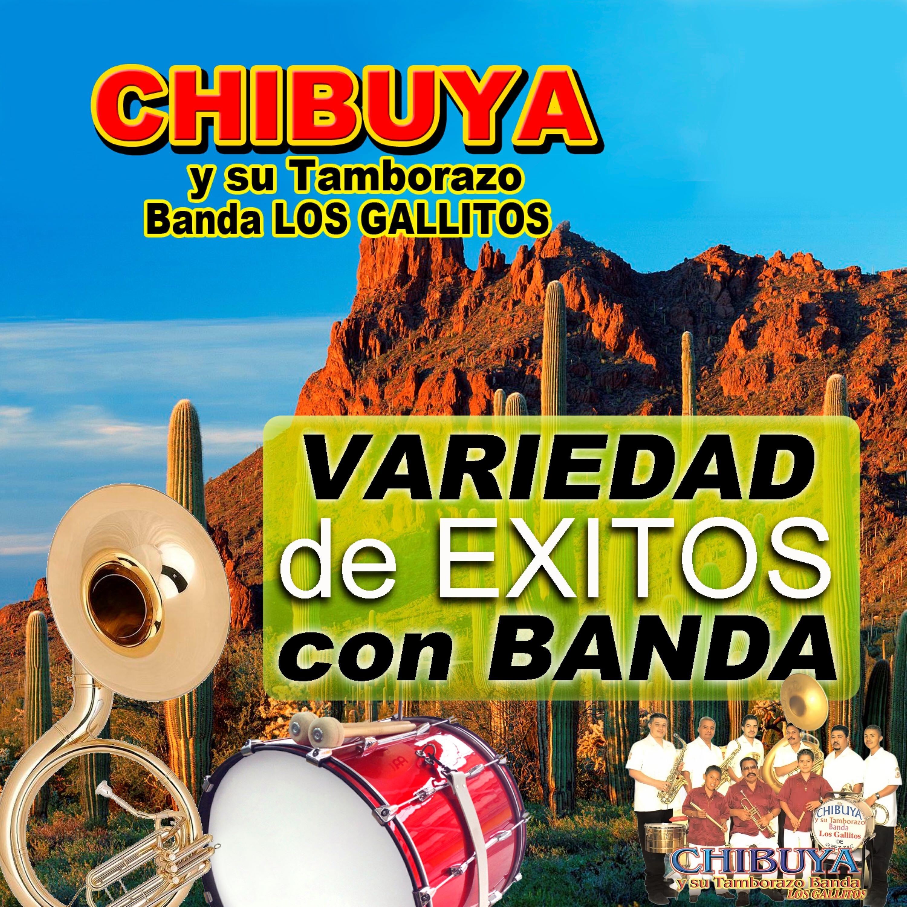 Su Tamborazo Banda Los Gallitos