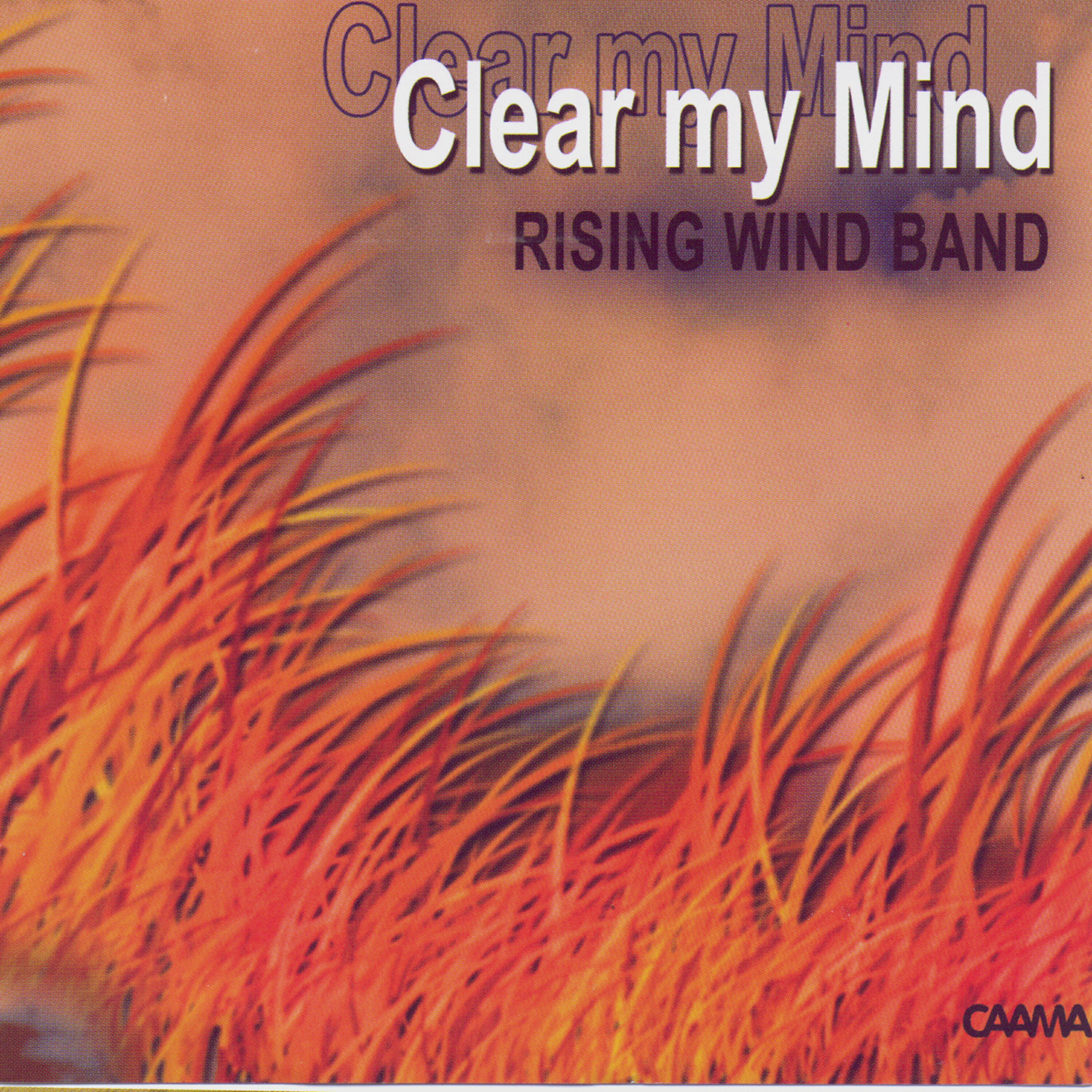Релиз Clear My Mind