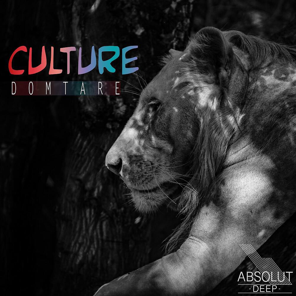 Релиз Culture