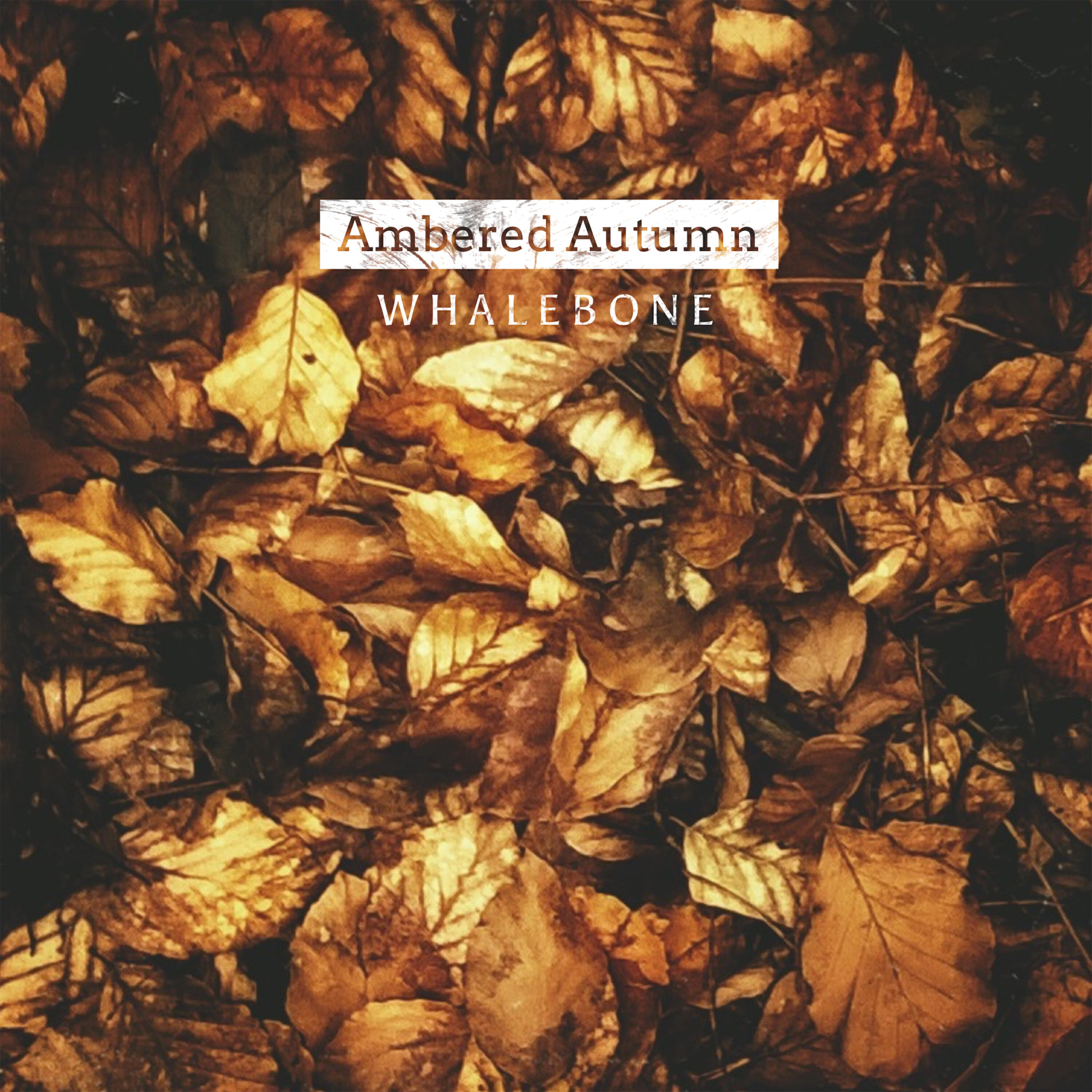 Релиз Ambered Autumn