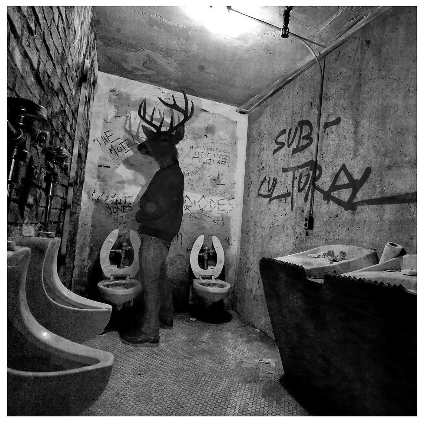 Релиз Subcultural