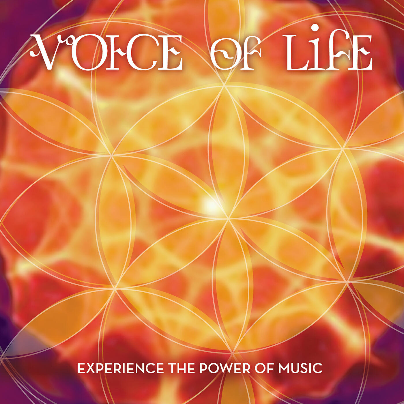 Релиз Voice of Life