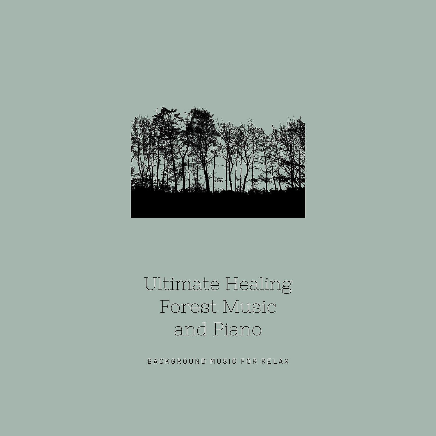 Релиз Ultimate Healing Forest Music and Piano