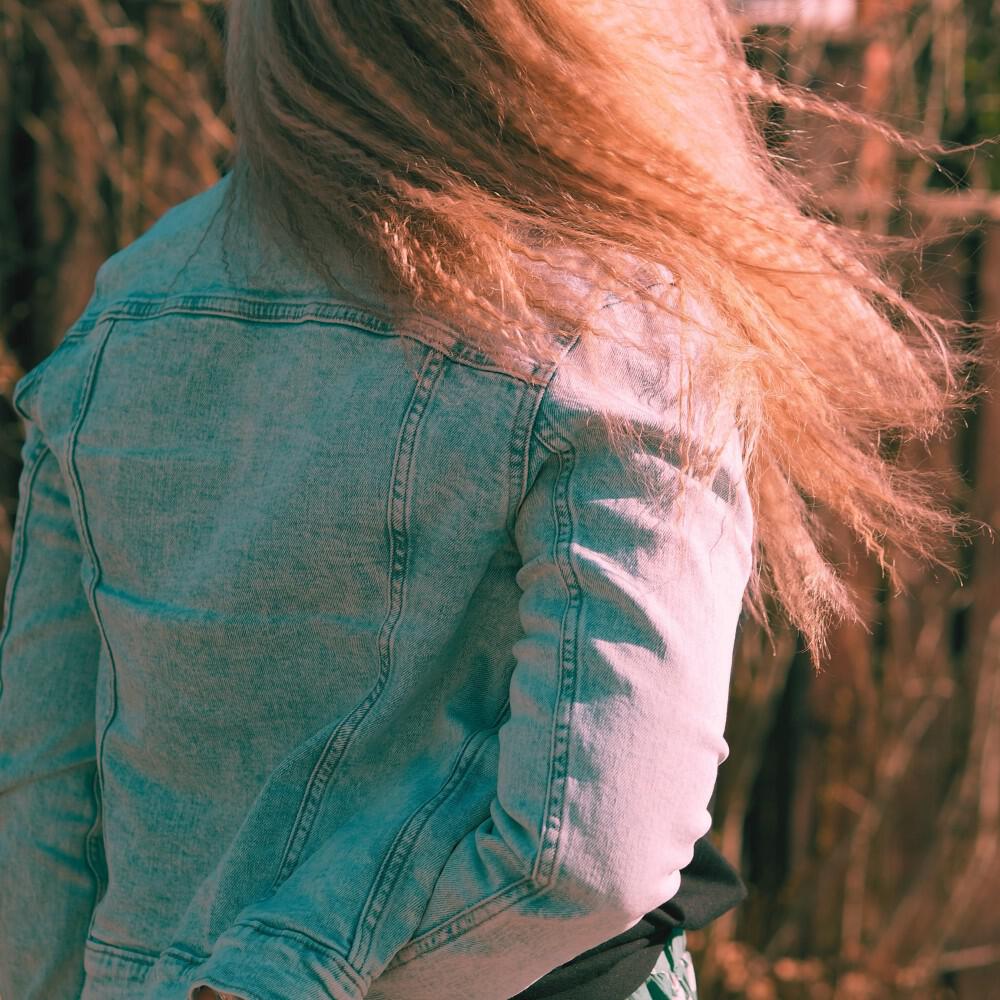 Komisarion Koirapartio