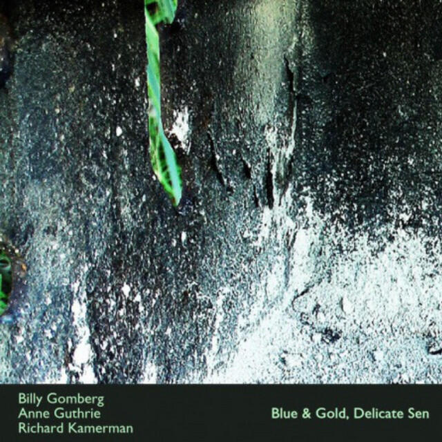 Релиз Blue & Gold, Delicate Sen
